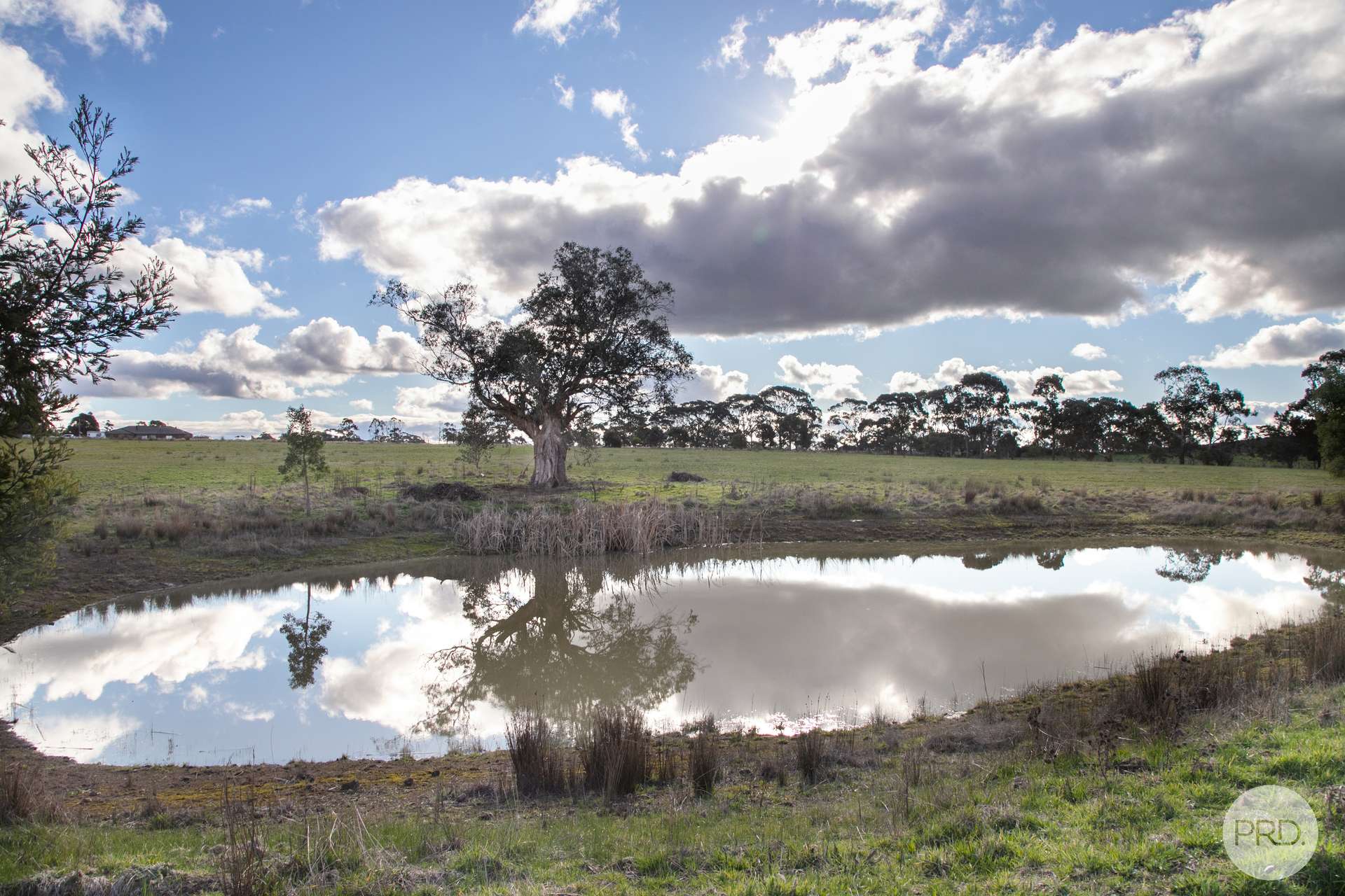 207 Spratlings Road, Ross Creek For Sale by Farmbuy.com - image 5
