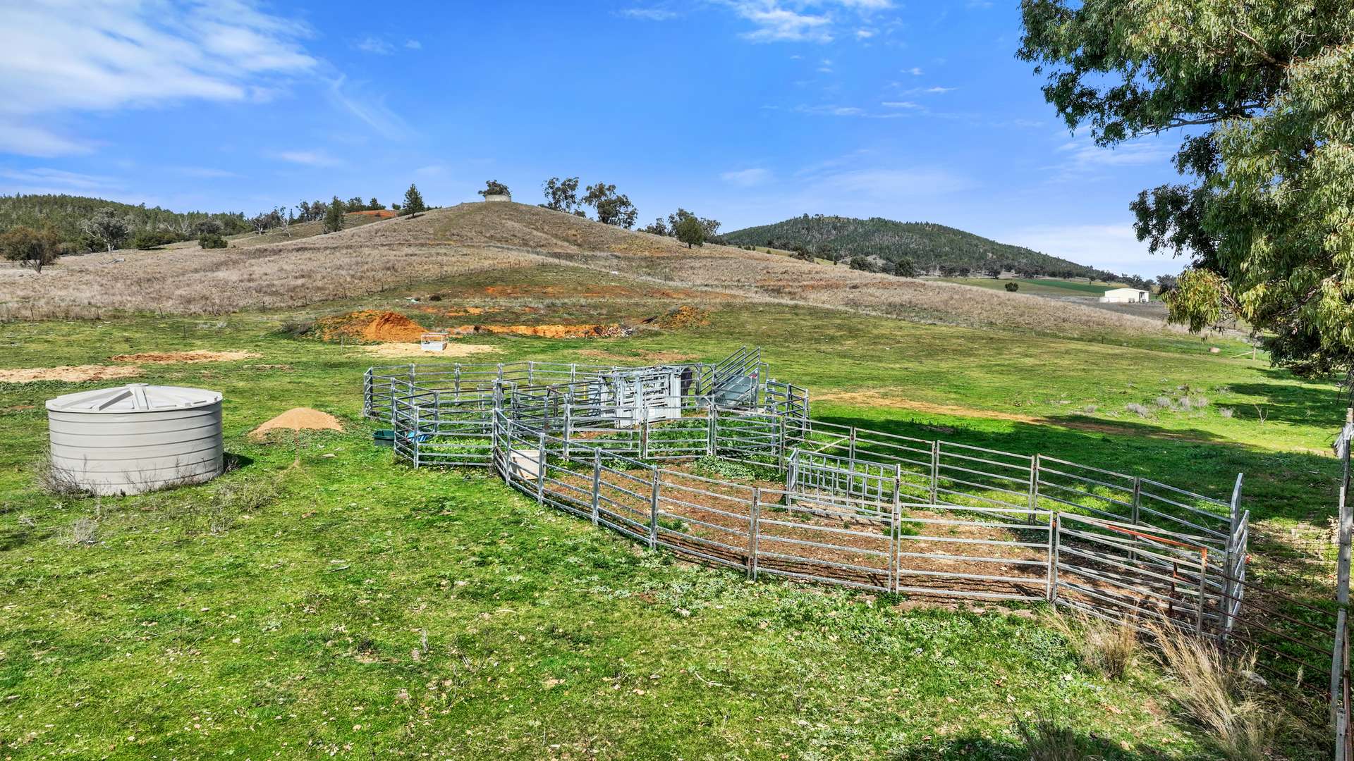 "The Oaks" 4 Magnesite Rd, Tamworth For Sale by Farmbuy.com - image 10