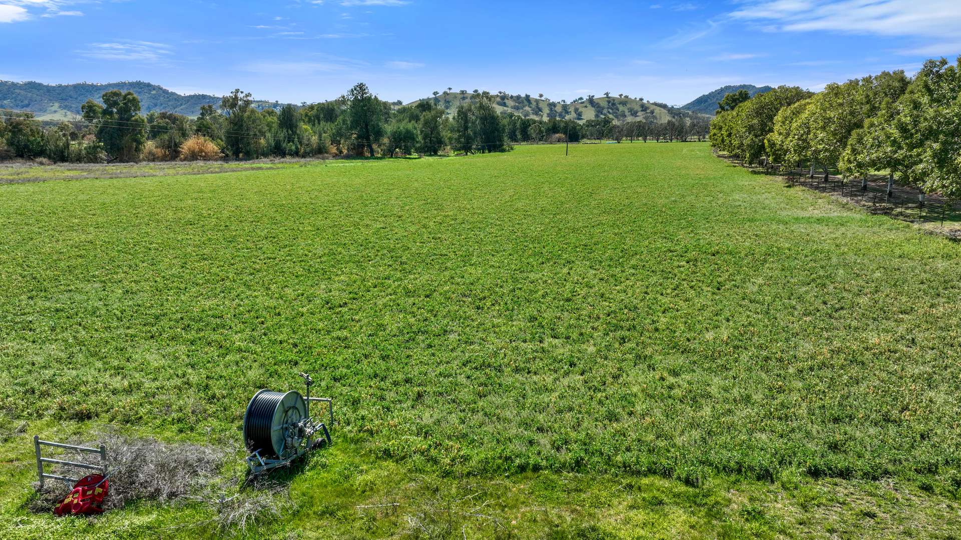 "The Oaks" 4 Magnesite Rd, Tamworth For Sale by Farmbuy.com - image 3