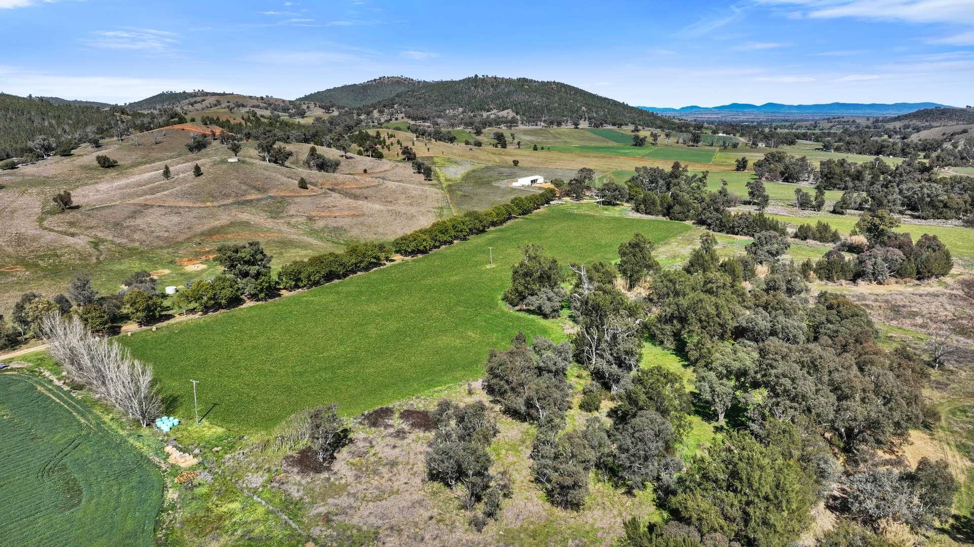 "The Oaks" 4 Magnesite Rd, Tamworth For Sale by Farmbuy.com - image 5