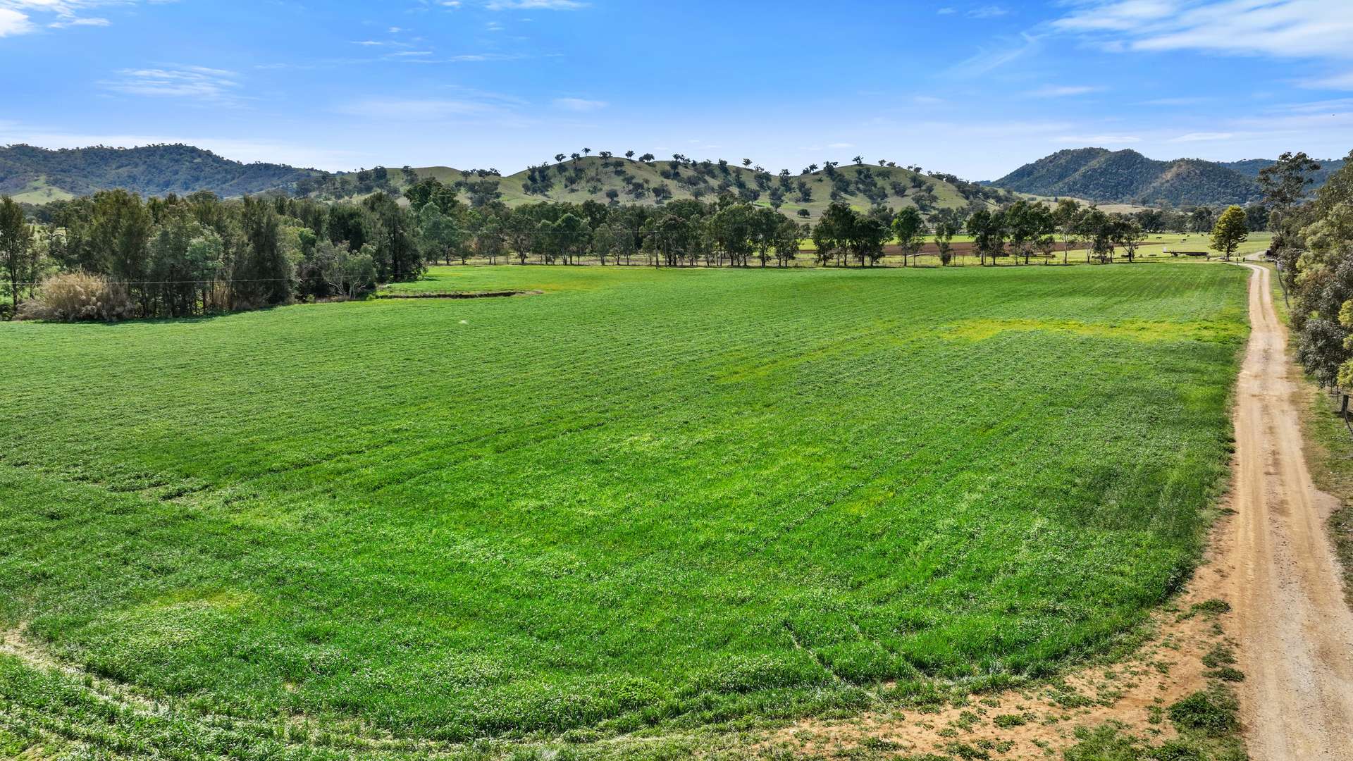 "The Oaks" 4 Magnesite Rd, Tamworth For Sale by Farmbuy.com - image 4