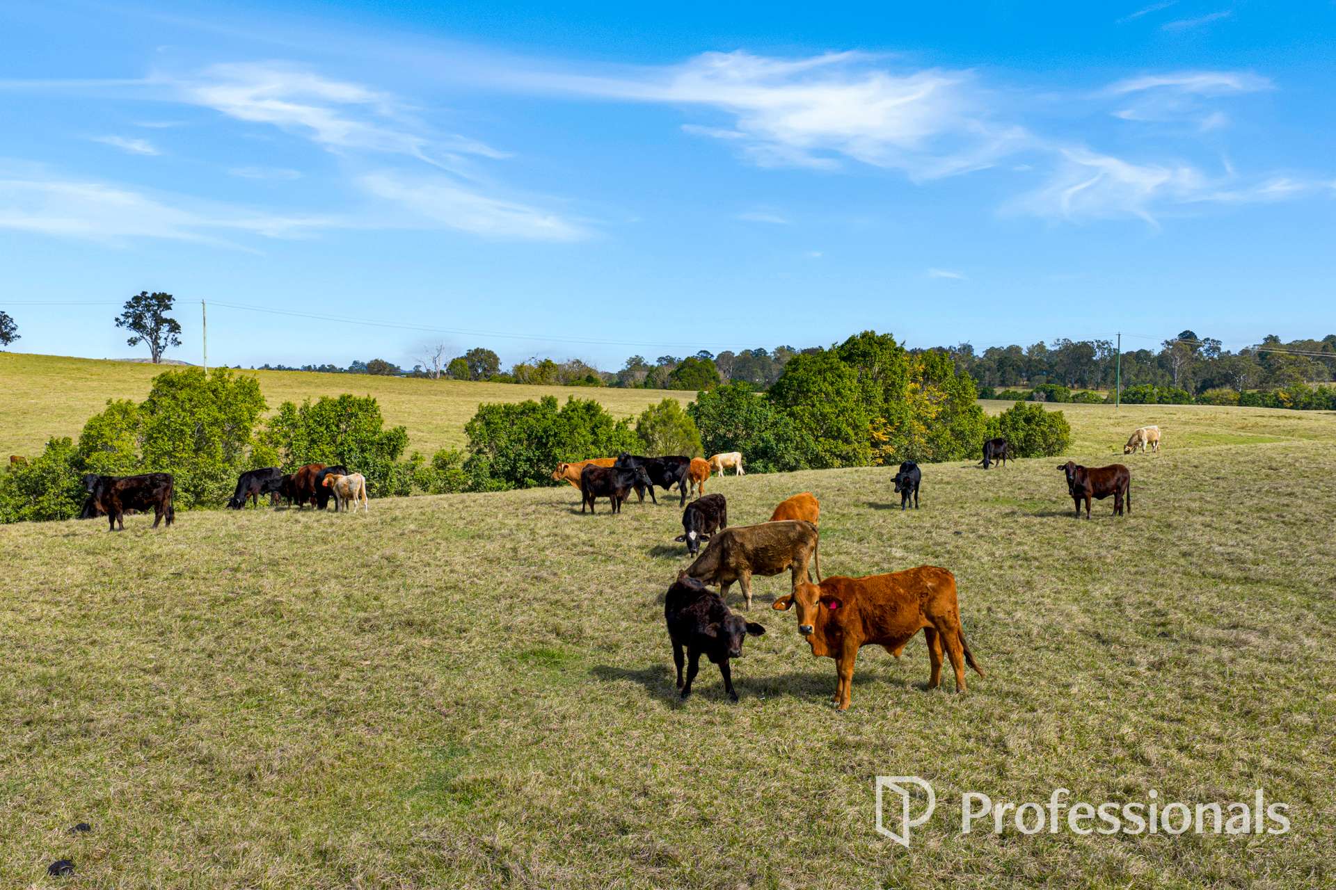 122 Fitzpatrick Road, The Dawn For Sale by Farmbuy.com - image 4