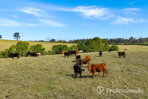 122 Fitzpatrick Road, The Dawn QLD 4570