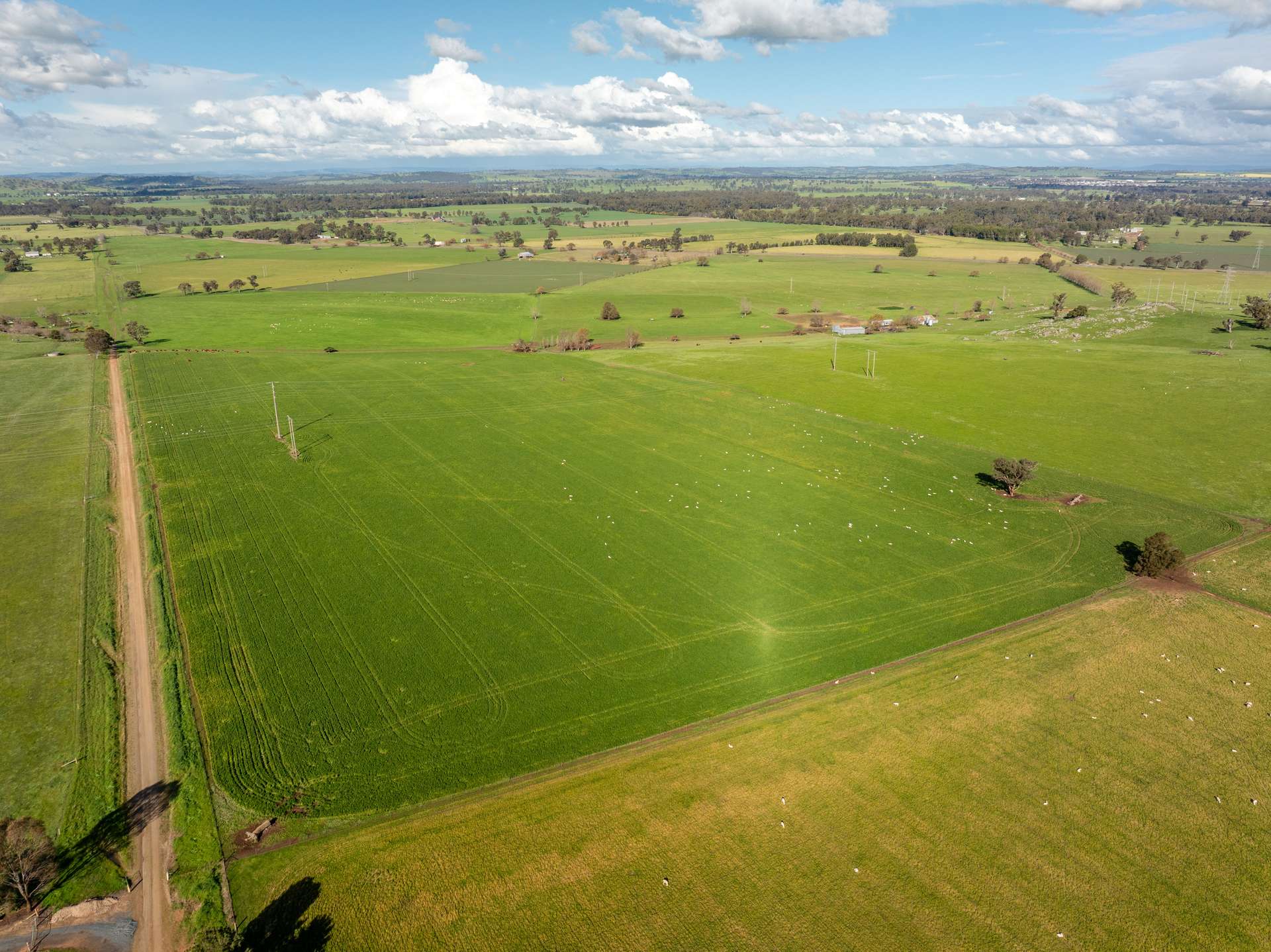 447 Oura Road, Wagga Wagga Auction by Farmbuy.com - image 5