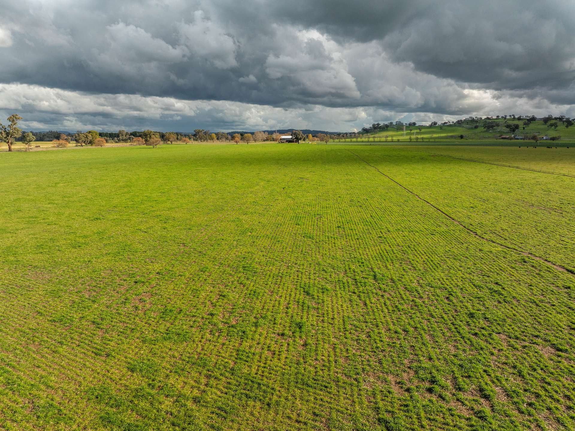 447 Oura Road, Wagga Wagga Auction by Farmbuy.com - image 11