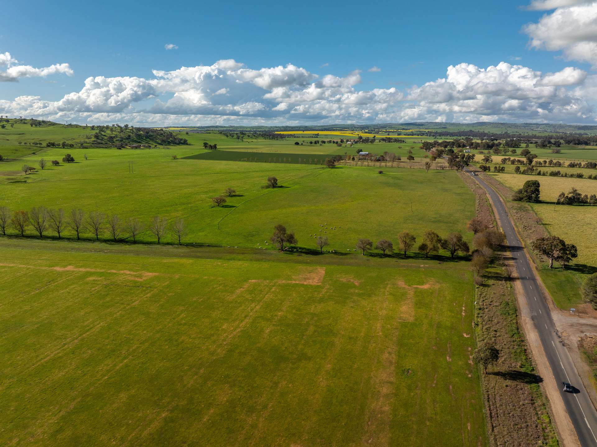 447 Oura Road, Wagga Wagga Auction by Farmbuy.com - image 1