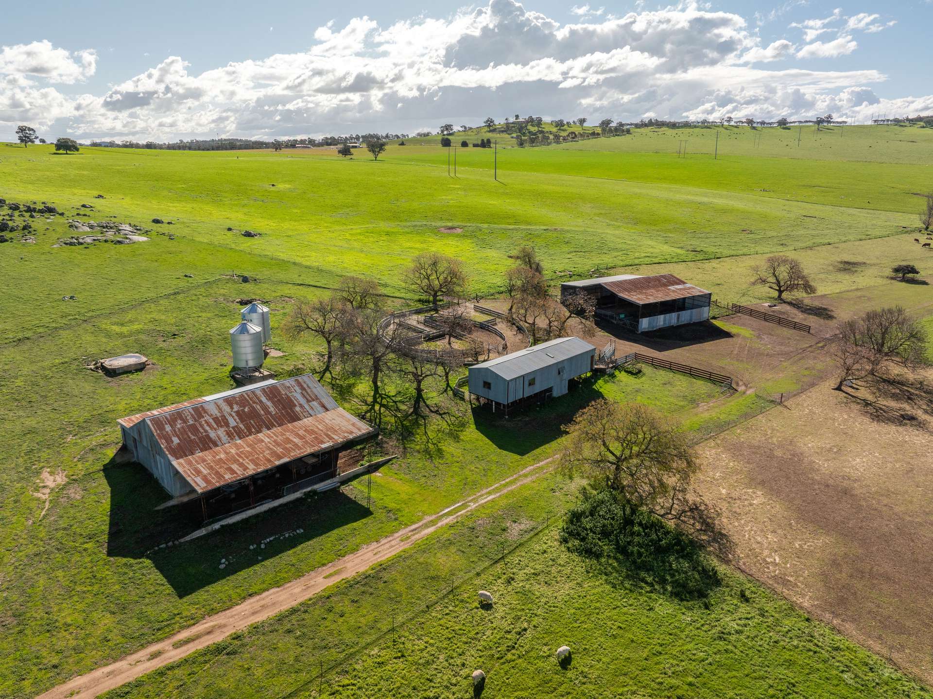 447 Oura Road, Wagga Wagga Auction by Farmbuy.com - image 24