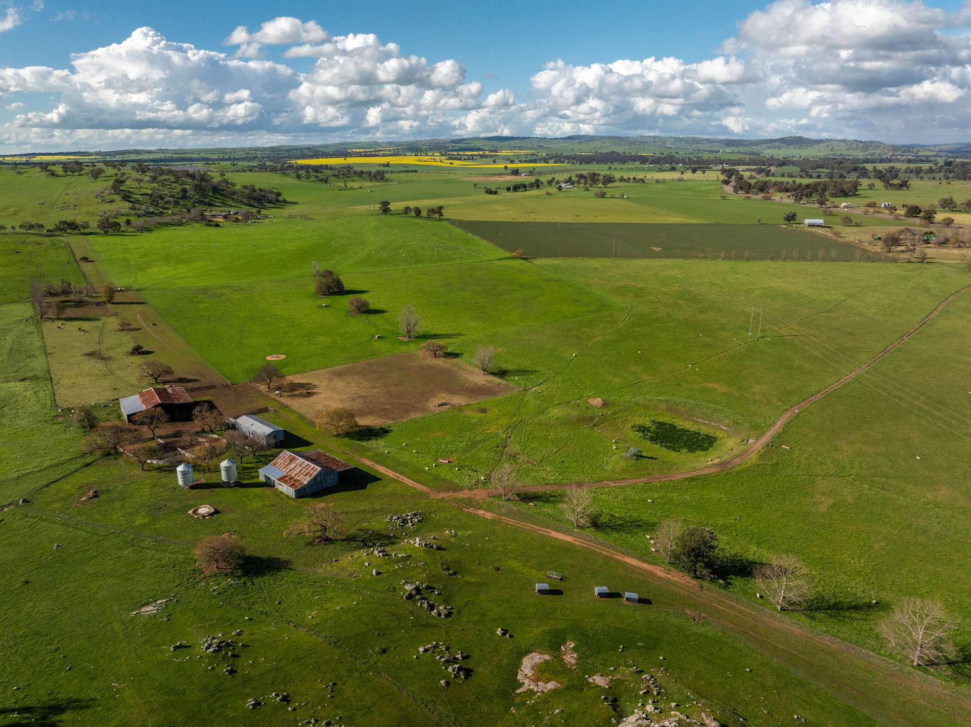 447 Oura Road, Wagga Wagga Auction by Farmbuy.com - image 34