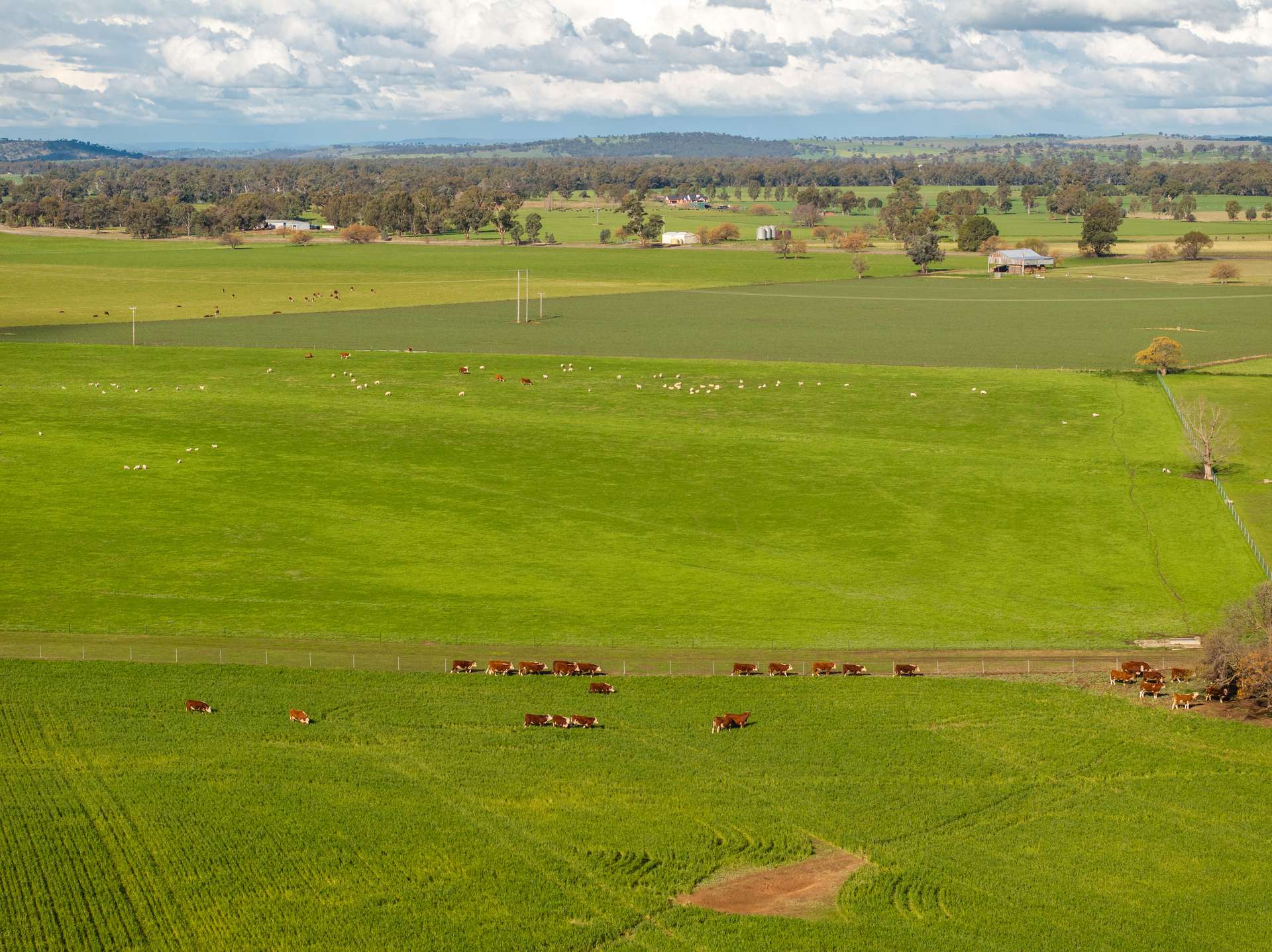 447 Oura Road, Wagga Wagga Auction by Farmbuy.com - image 9