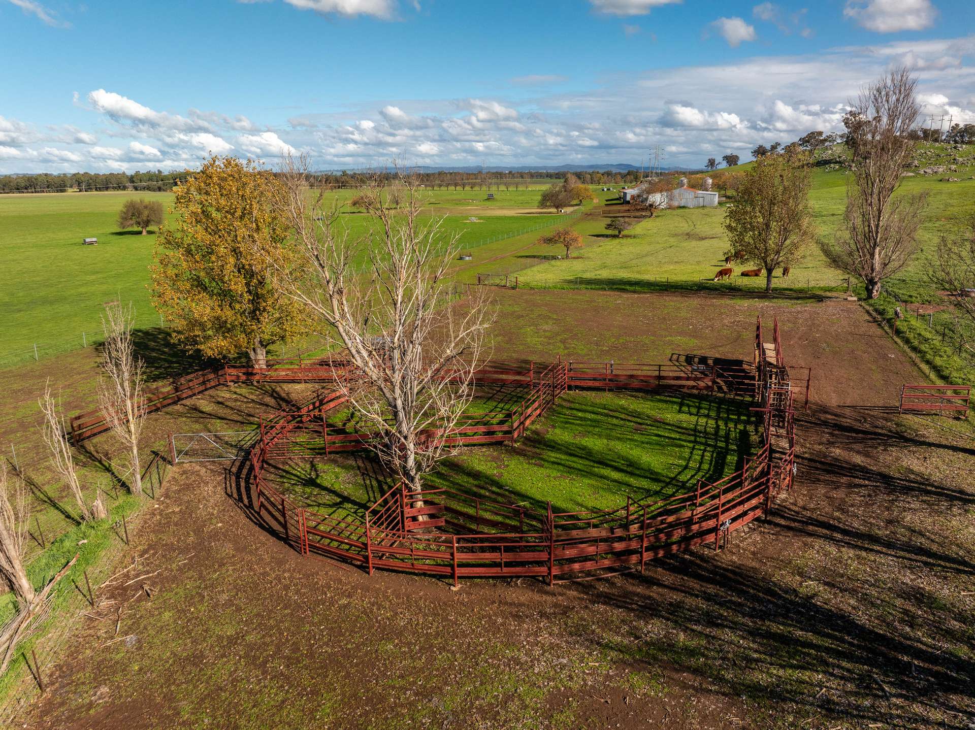 447 Oura Road, Wagga Wagga Auction by Farmbuy.com - image 30