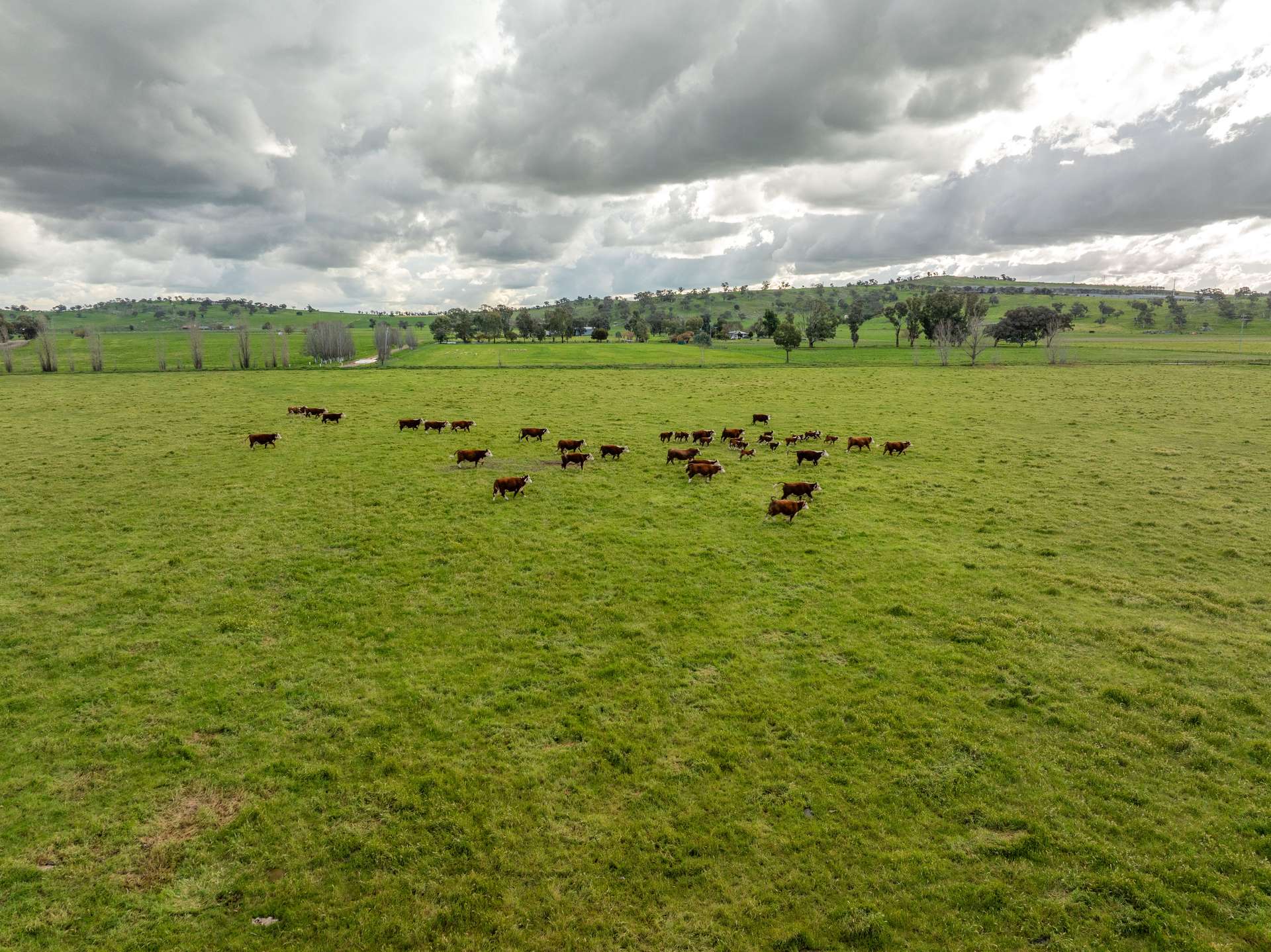 447 Oura Road, Wagga Wagga Auction by Farmbuy.com - image 14