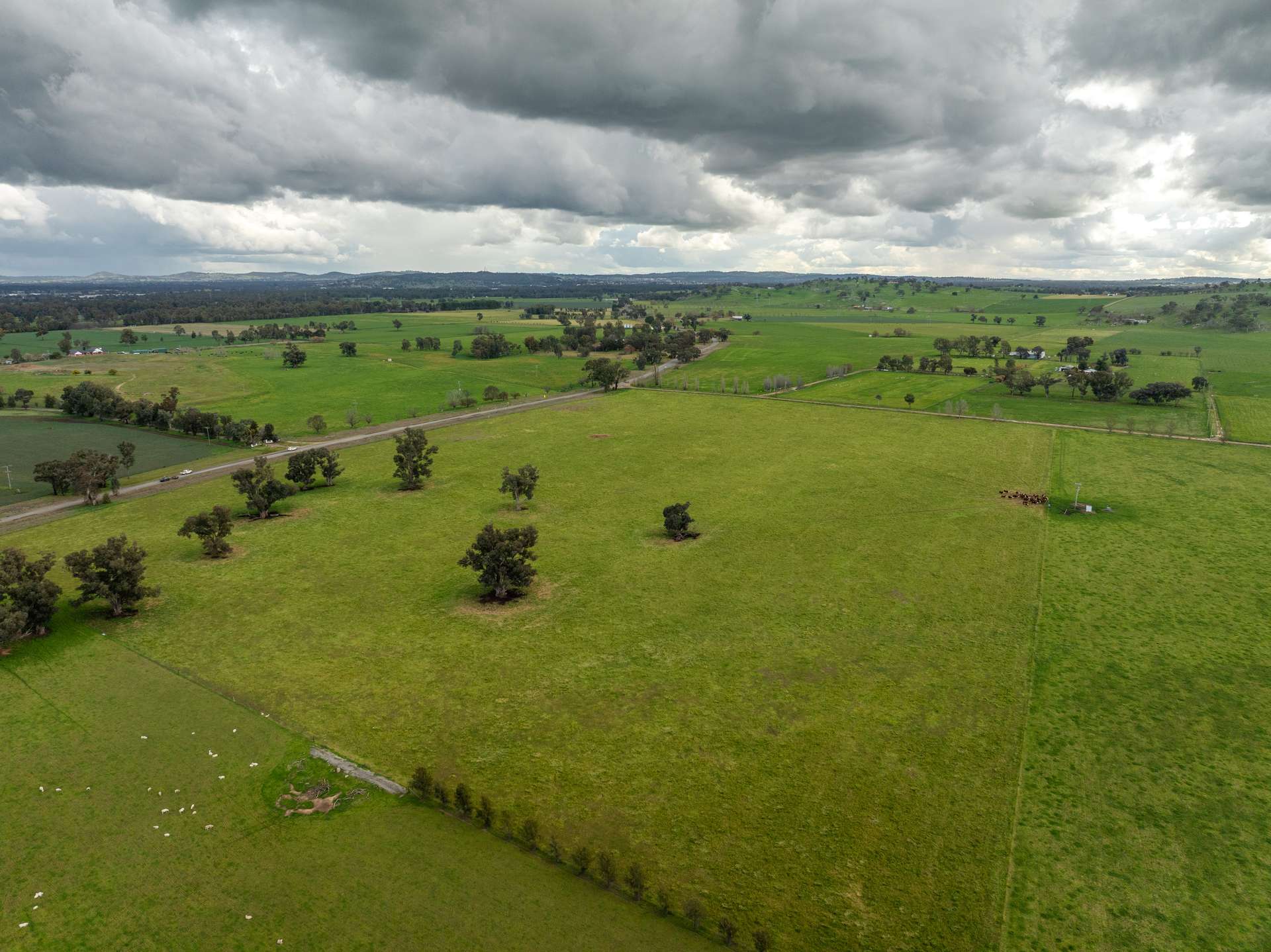 447 Oura Road, Wagga Wagga Auction by Farmbuy.com - image 17