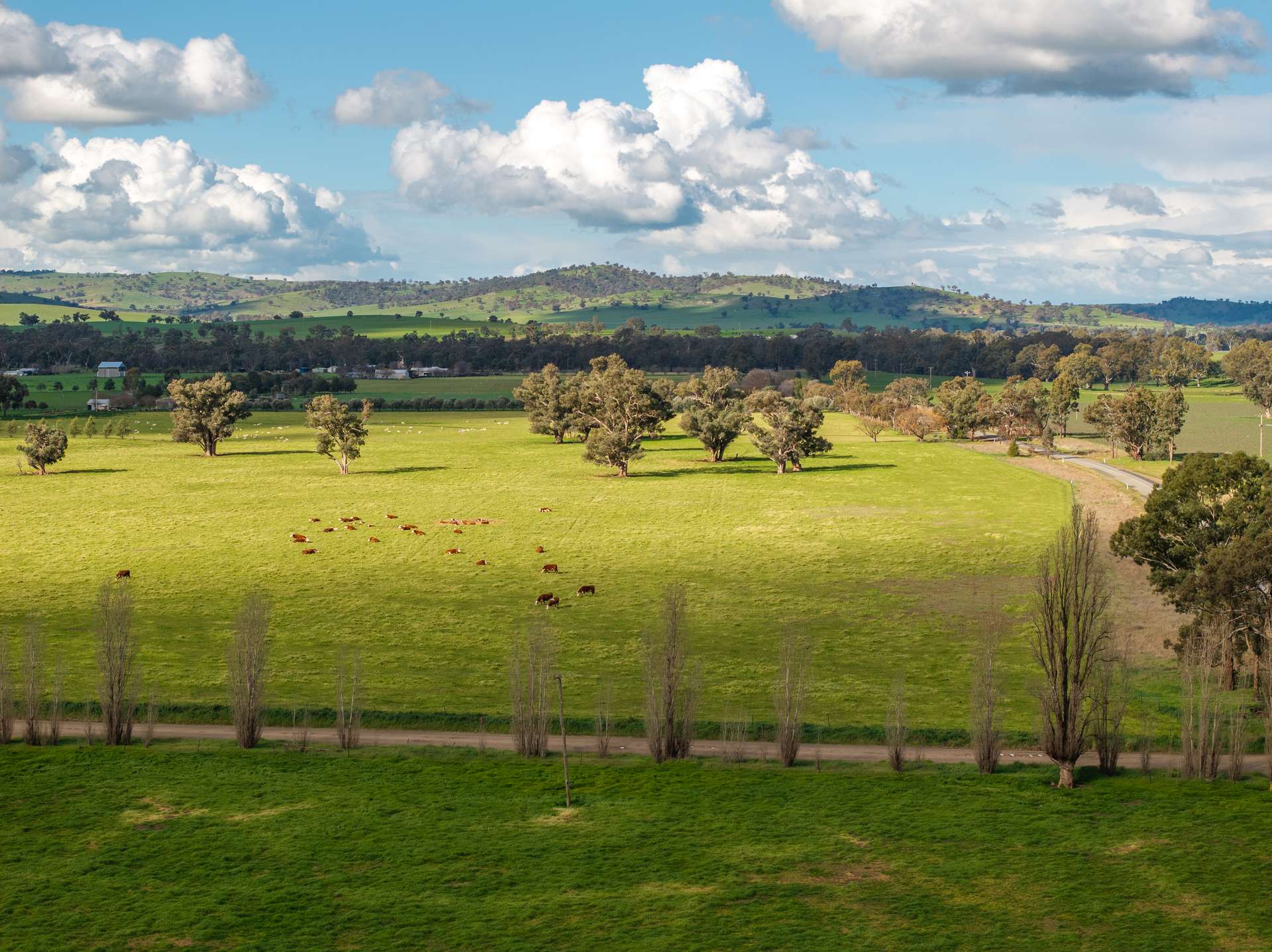 447 Oura Road, Wagga Wagga Auction by Farmbuy.com - image 12