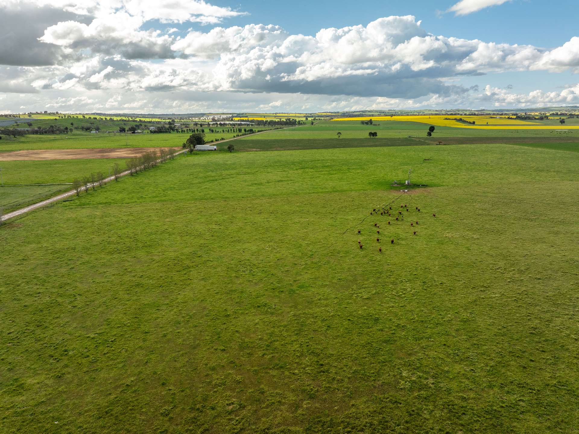 447 Oura Road, Wagga Wagga Auction by Farmbuy.com - image 15