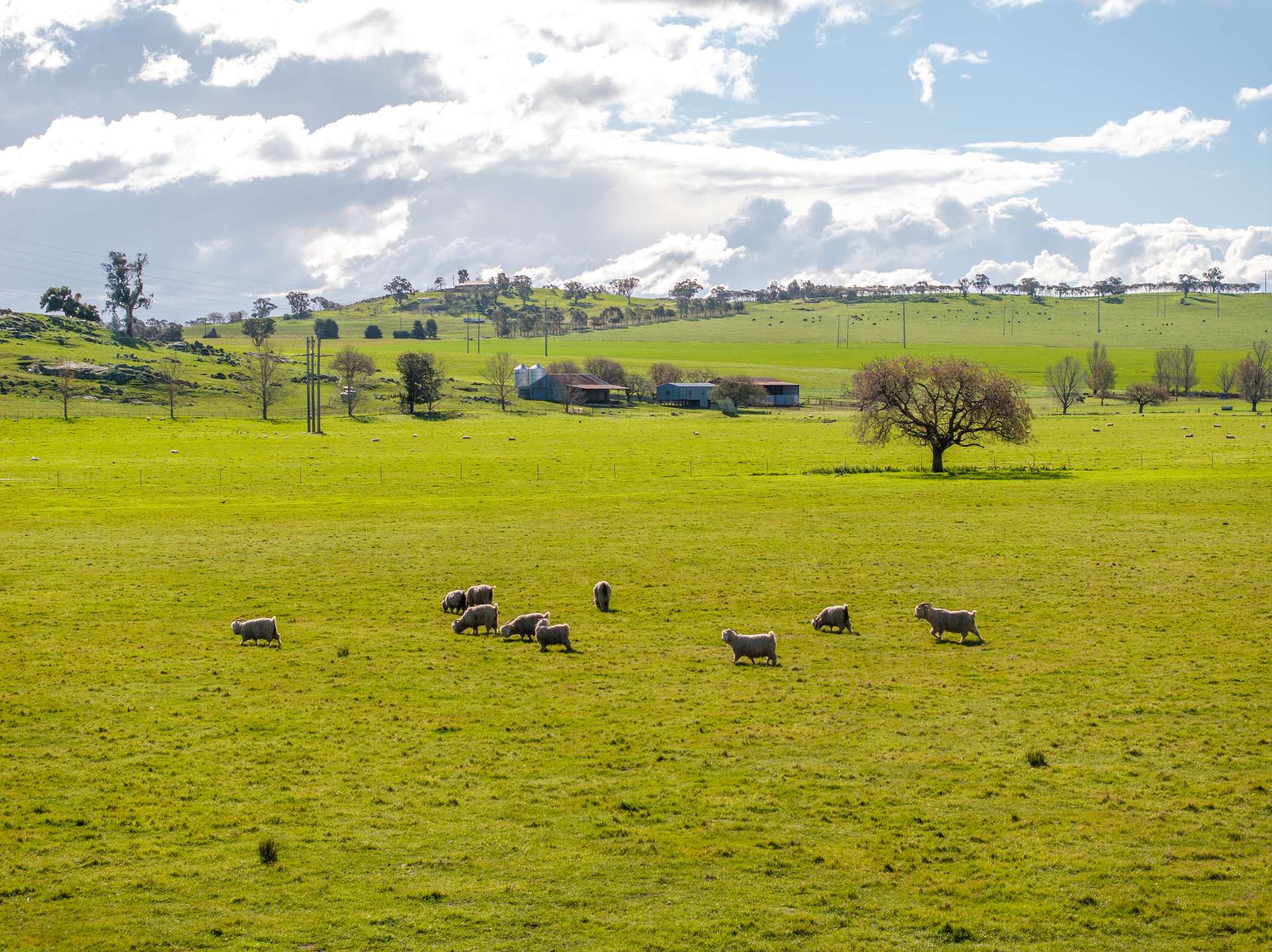 447 Oura Road, Wagga Wagga Auction by Farmbuy.com - image 32