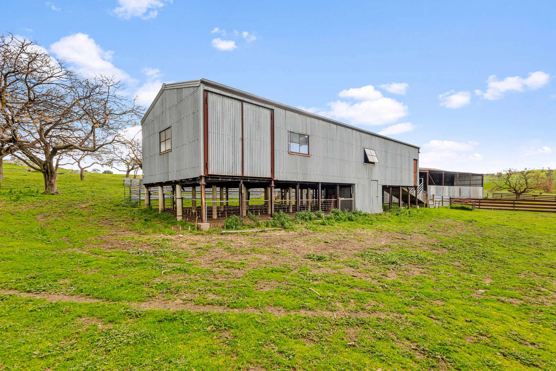 447 Oura Road, Wagga Wagga Auction by Farmbuy.com - image 27