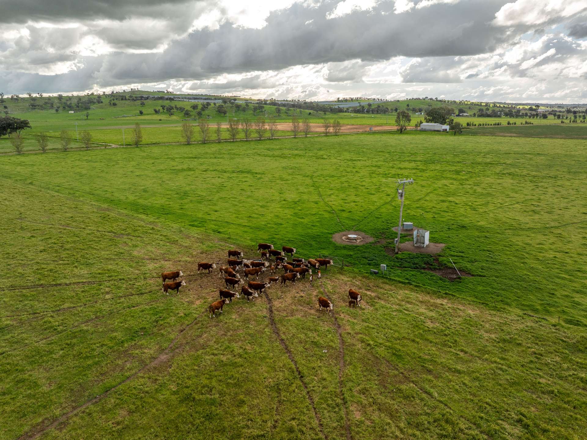 447 Oura Road, Wagga Wagga Auction by Farmbuy.com - image 16