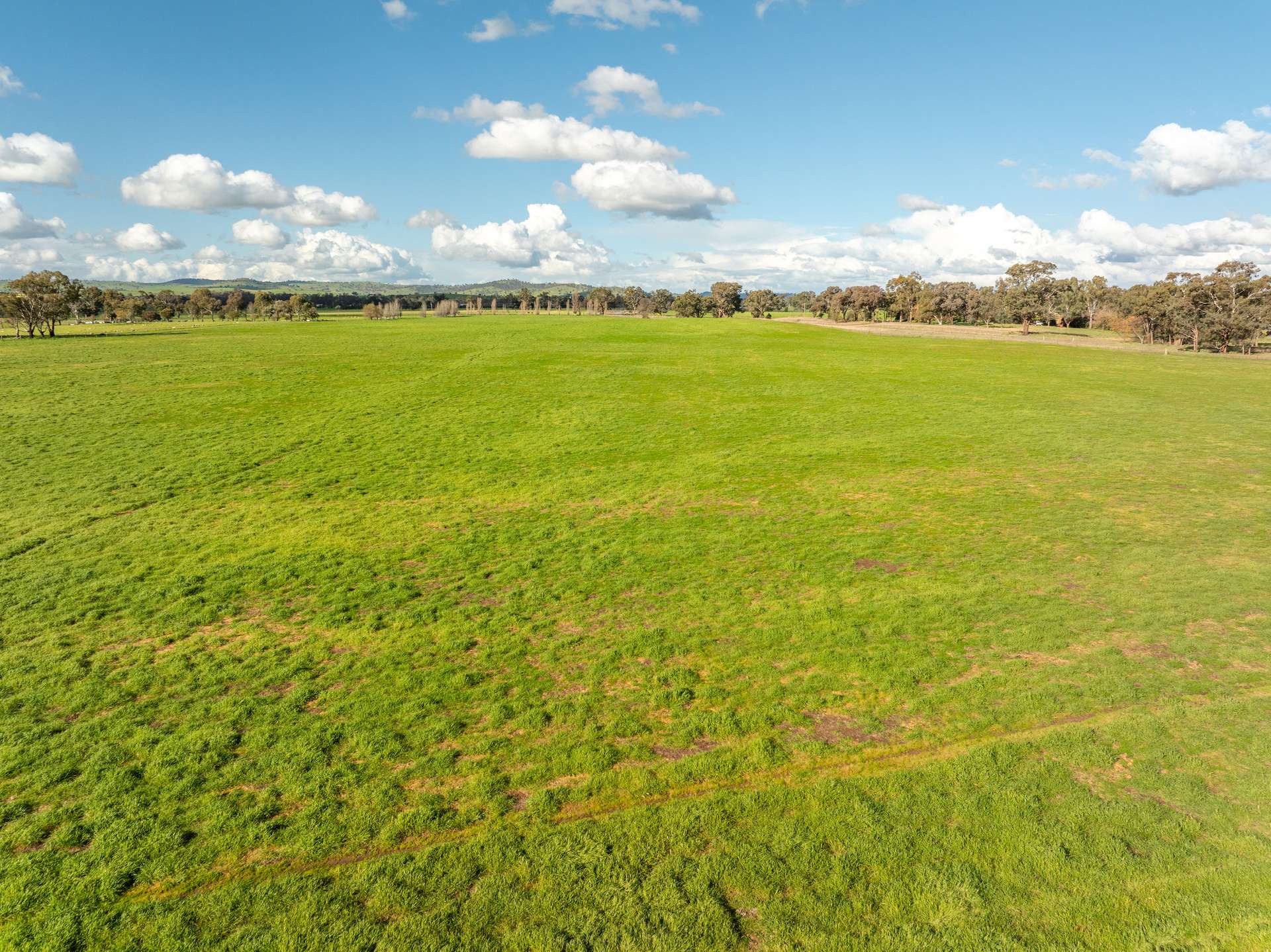 447 Oura Road, Wagga Wagga Auction by Farmbuy.com - image 10