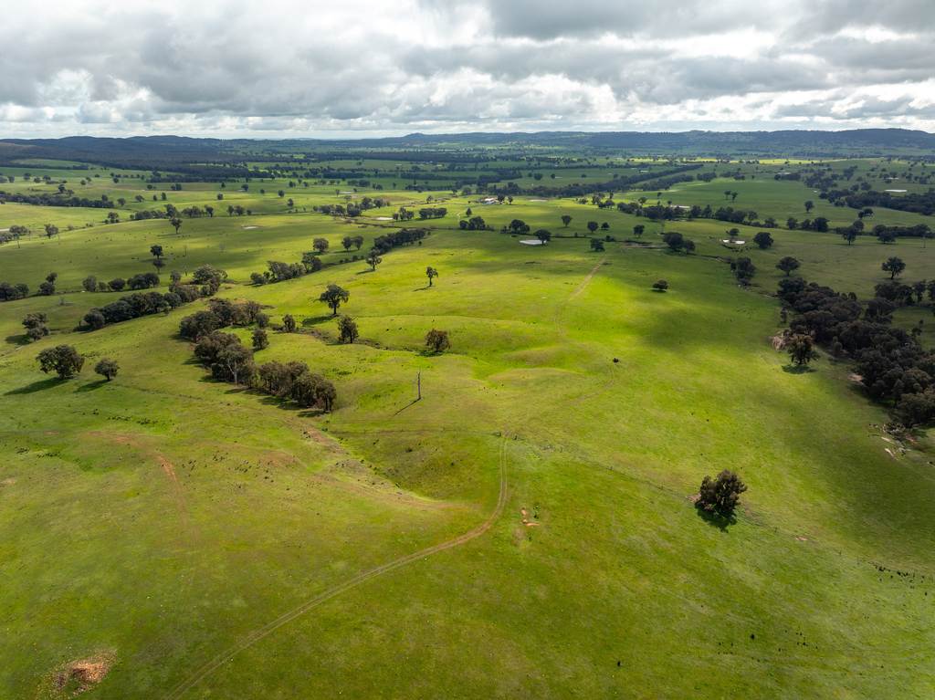 520 Woolshed Lane, Wagga Wagga NSW 2650