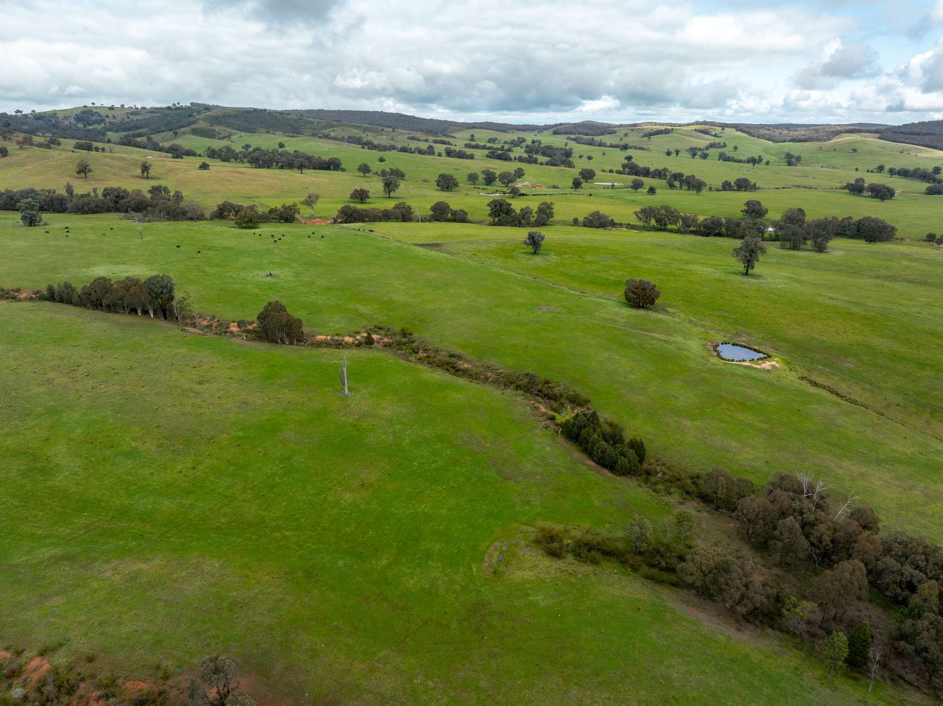 520 Woolshed Lane, Wagga Wagga Auction by Farmbuy.com - image 10