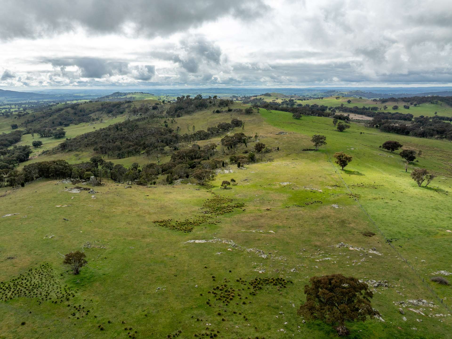 520 Woolshed Lane, Wagga Wagga Auction by Farmbuy.com - image 20