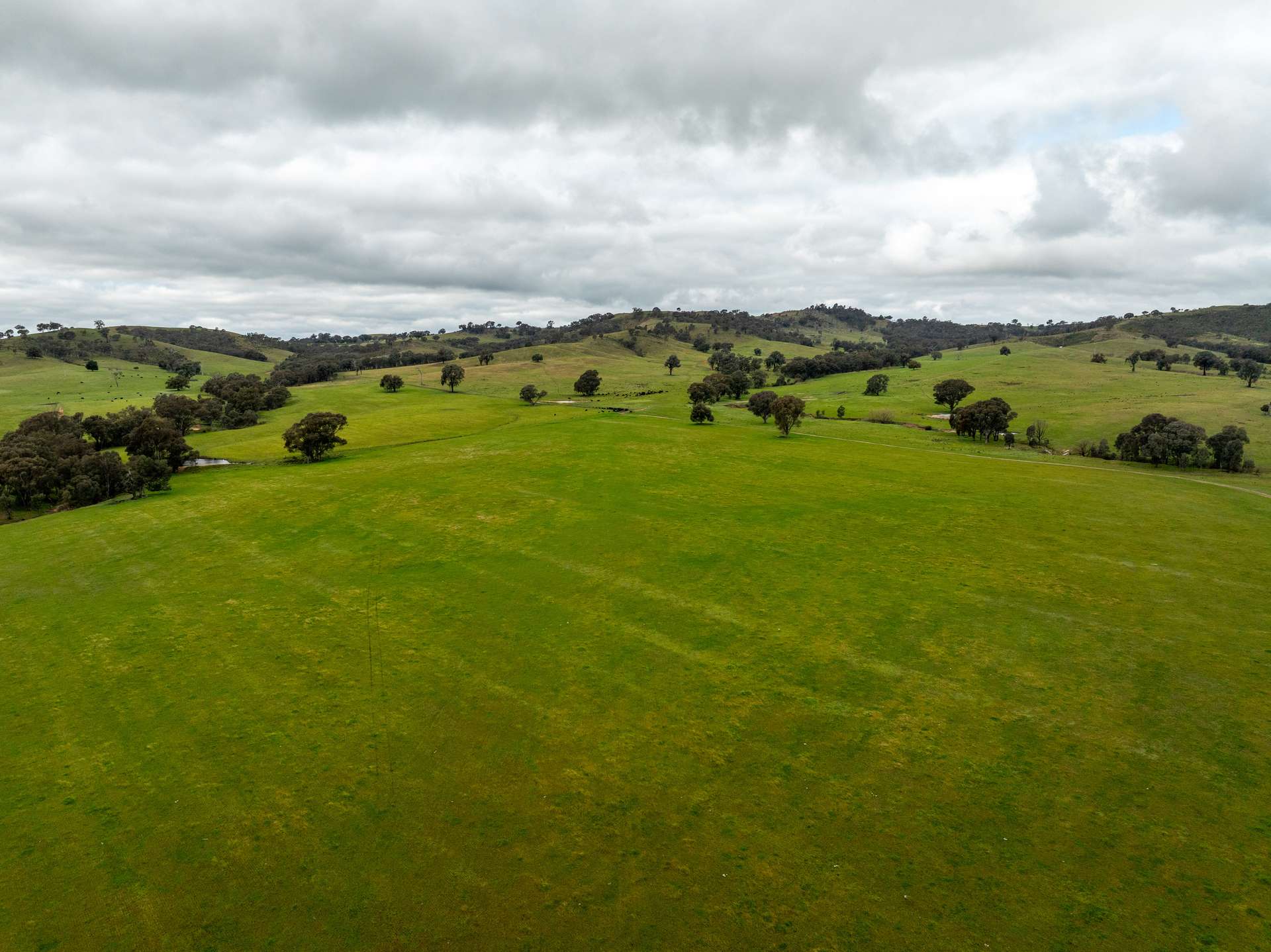 520 Woolshed Lane, Wagga Wagga Auction by Farmbuy.com - image 34