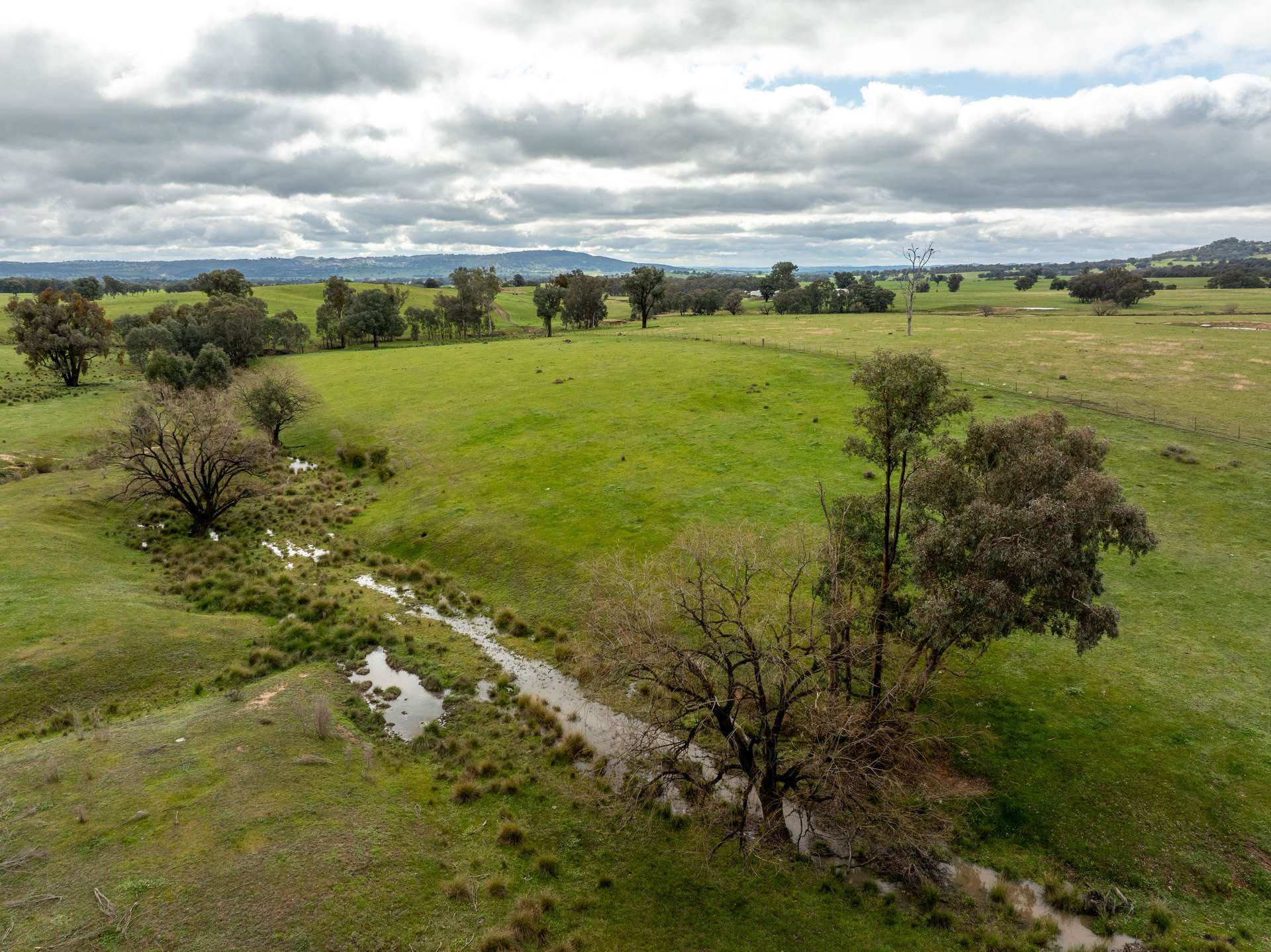 520 Woolshed Lane, Wagga Wagga Auction by Farmbuy.com - image 29