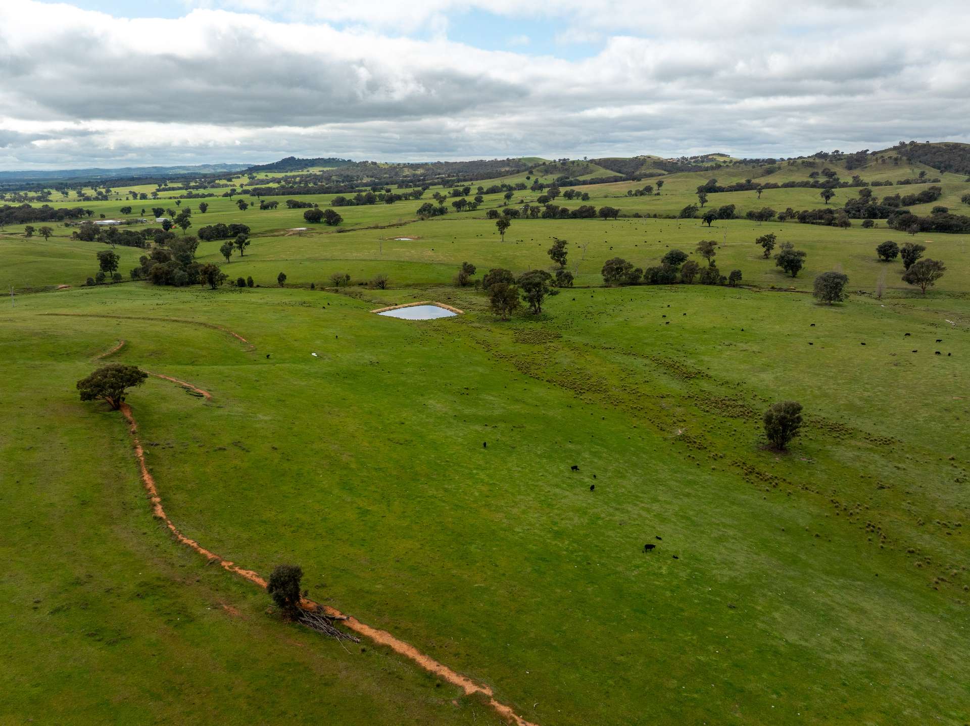520 Woolshed Lane, Wagga Wagga Auction by Farmbuy.com - image 28