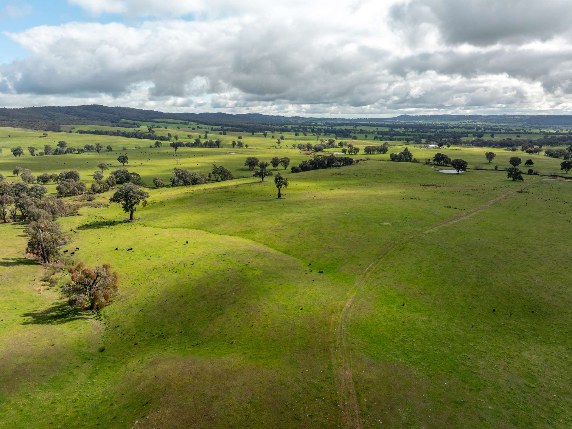 520 Woolshed Lane, Wagga Wagga Auction by Farmbuy.com - image 16