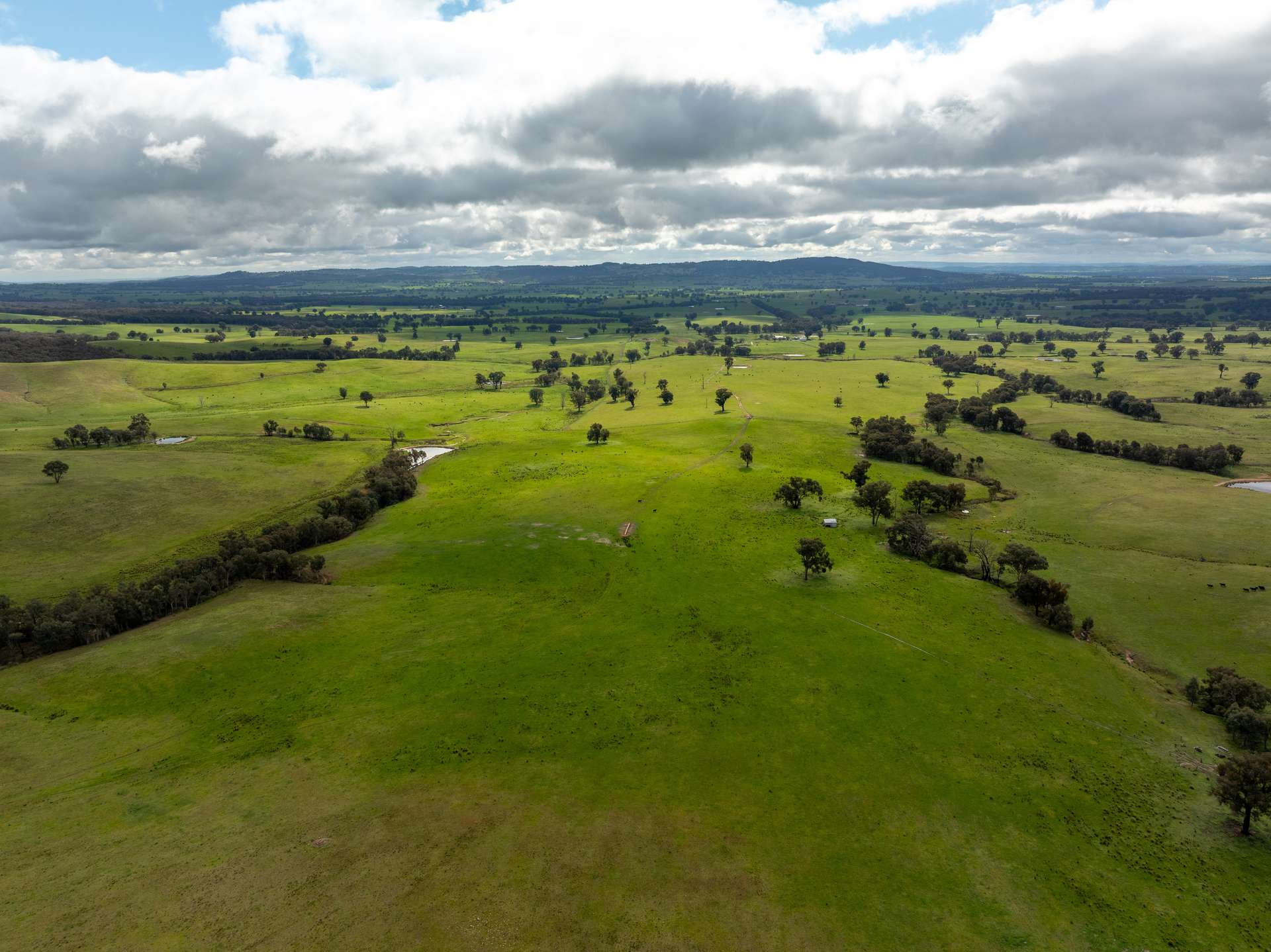 520 Woolshed Lane, Wagga Wagga Auction by Farmbuy.com - image 18