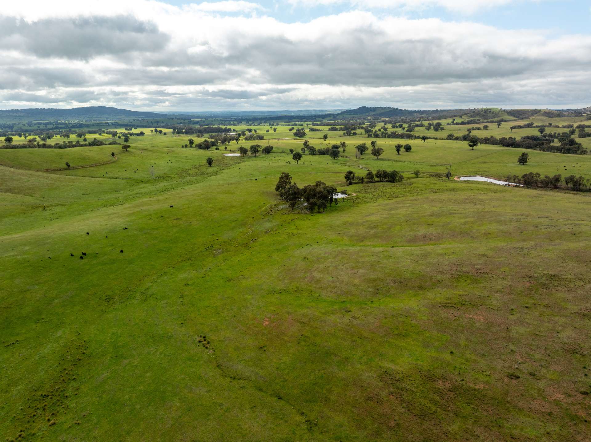 520 Woolshed Lane, Wagga Wagga Auction by Farmbuy.com - image 25