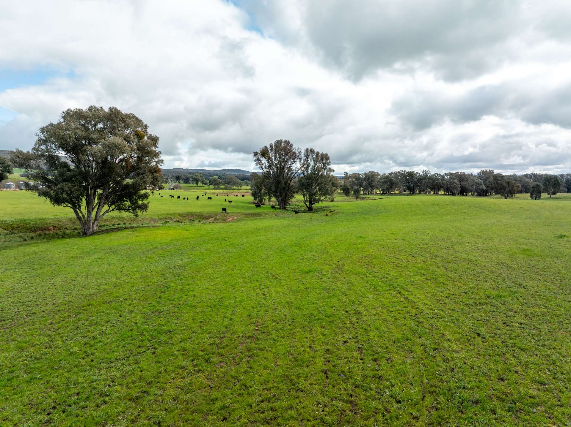 520 Woolshed Lane, Wagga Wagga Auction by Farmbuy.com - image 13