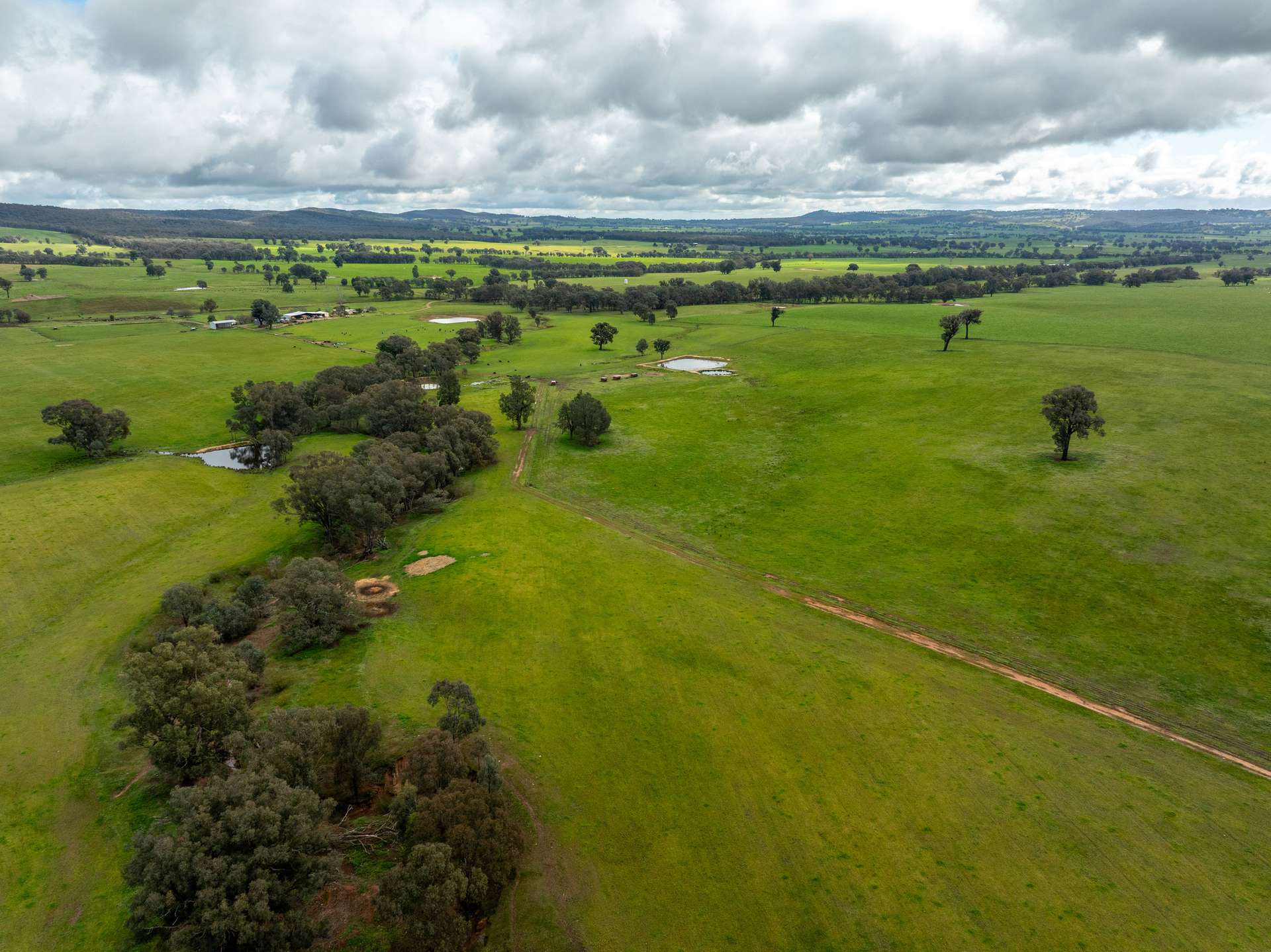 520 Woolshed Lane, Wagga Wagga Auction by Farmbuy.com - image 5