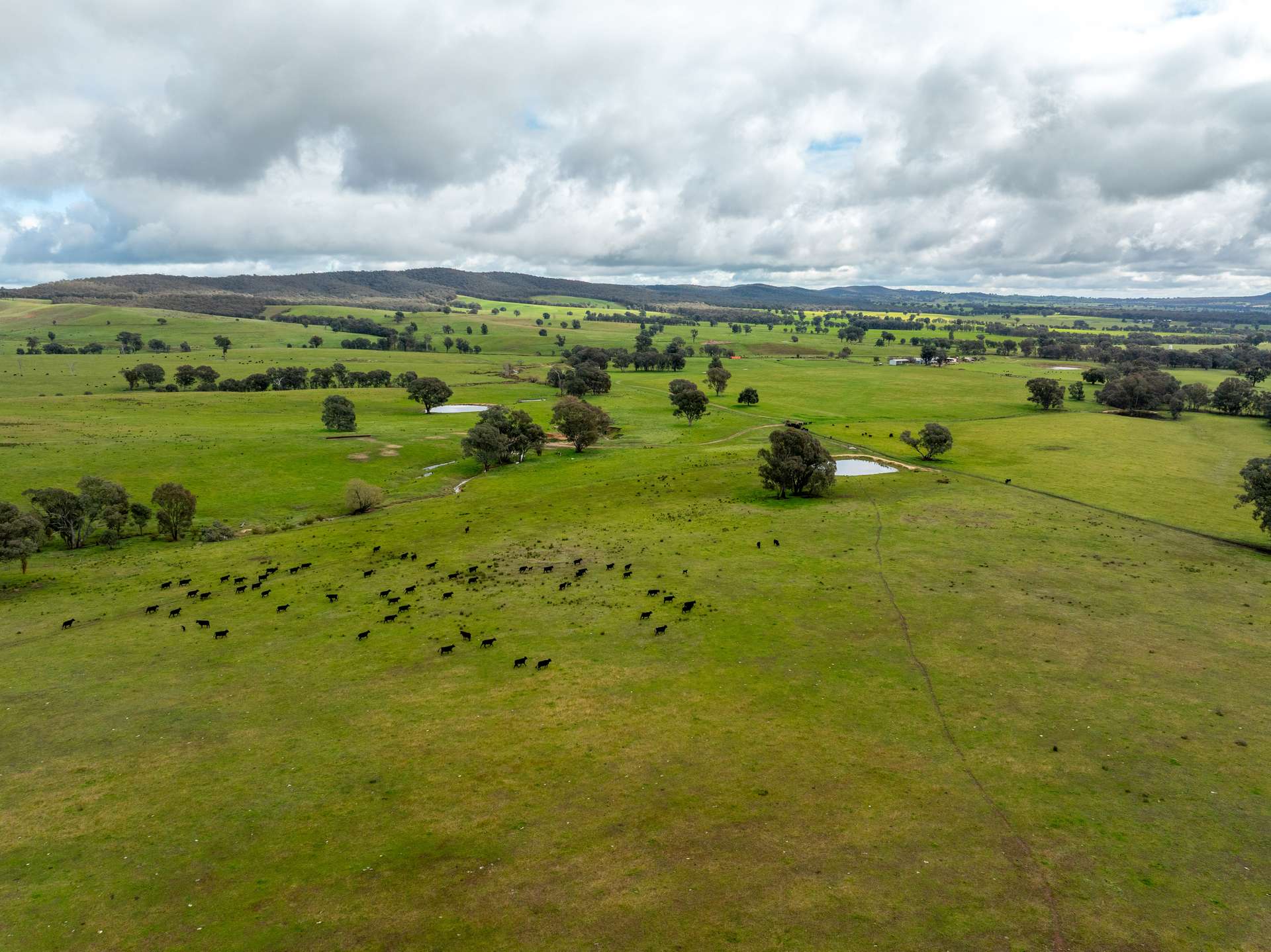 520 Woolshed Lane, Wagga Wagga Auction by Farmbuy.com - image 2