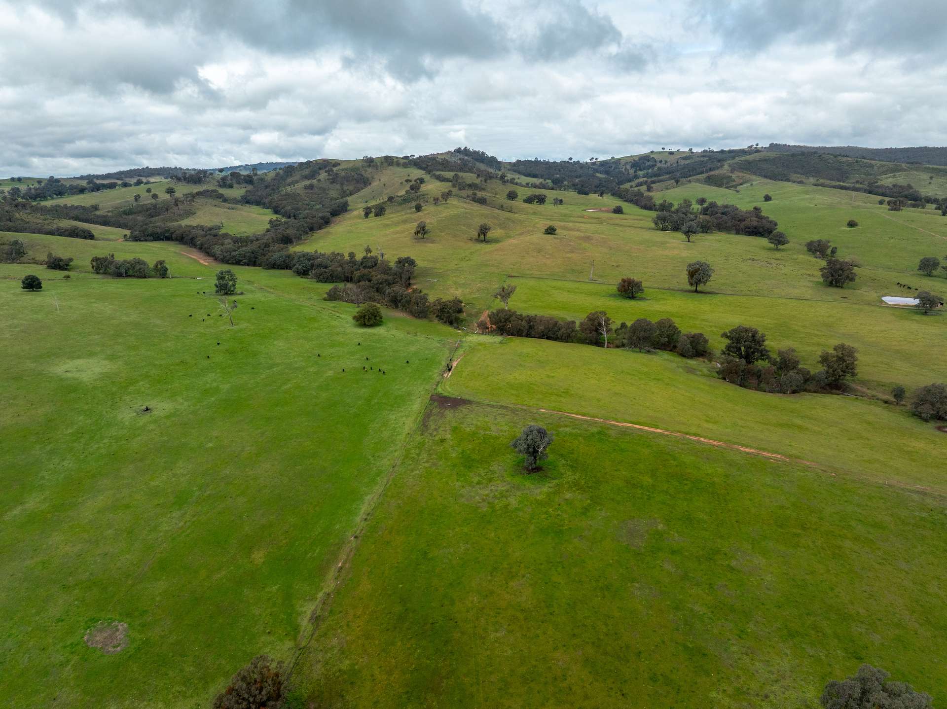 520 Woolshed Lane, Wagga Wagga Auction by Farmbuy.com - image 6