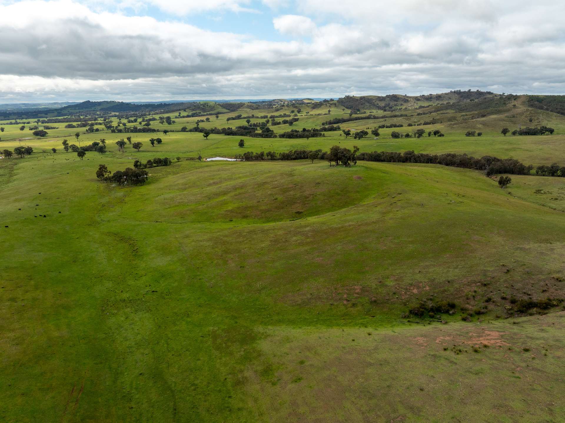 520 Woolshed Lane, Wagga Wagga Auction by Farmbuy.com - image 23