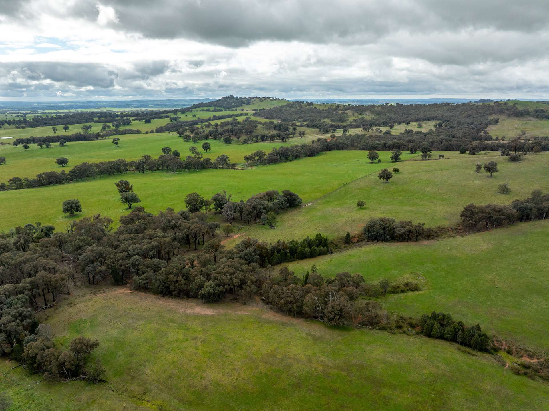 520 Woolshed Lane, Wagga Wagga Auction by Farmbuy.com - image 8