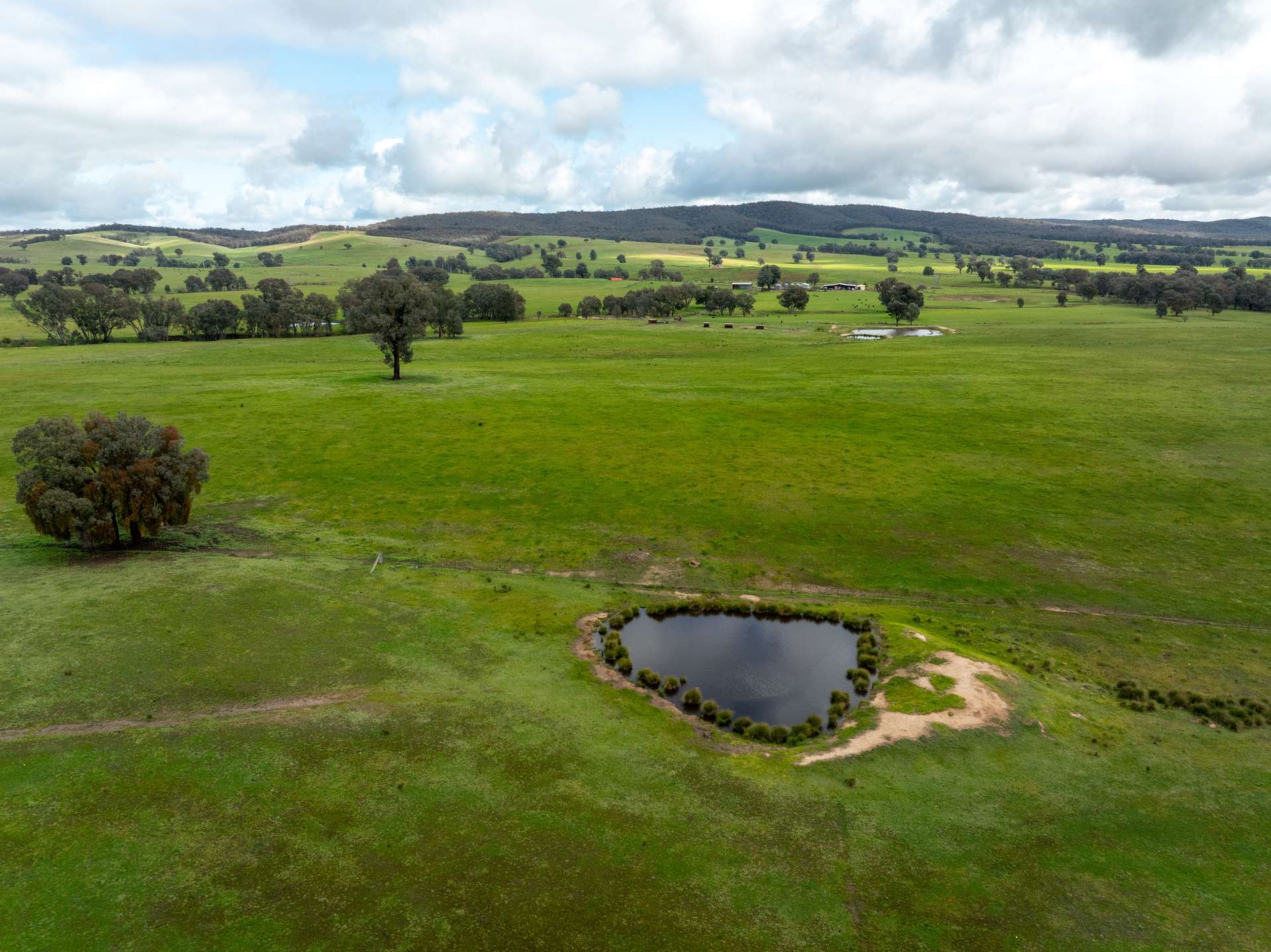 520 Woolshed Lane, Wagga Wagga Auction by Farmbuy.com - image 11