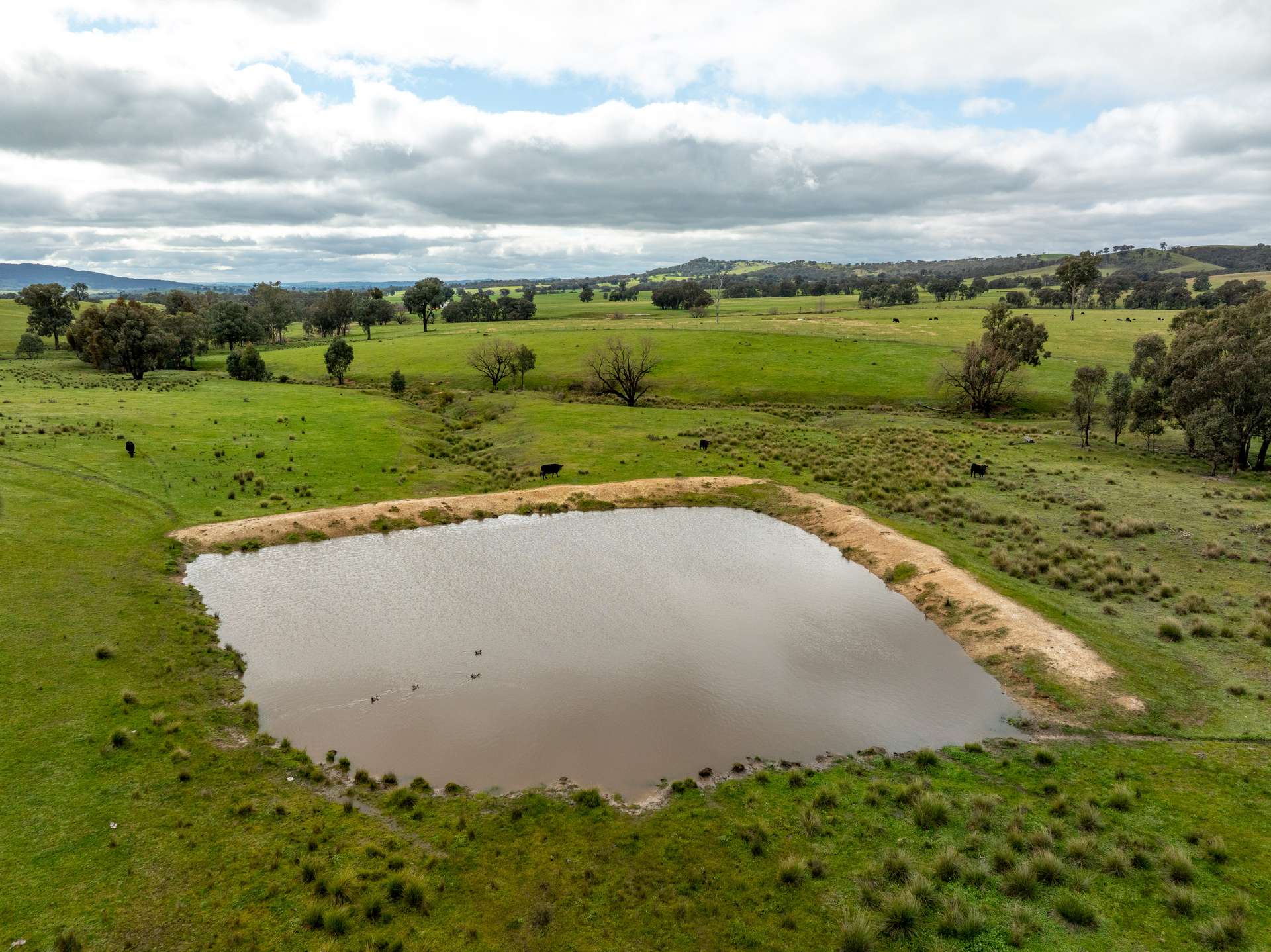 520 Woolshed Lane, Wagga Wagga Auction by Farmbuy.com - image 26