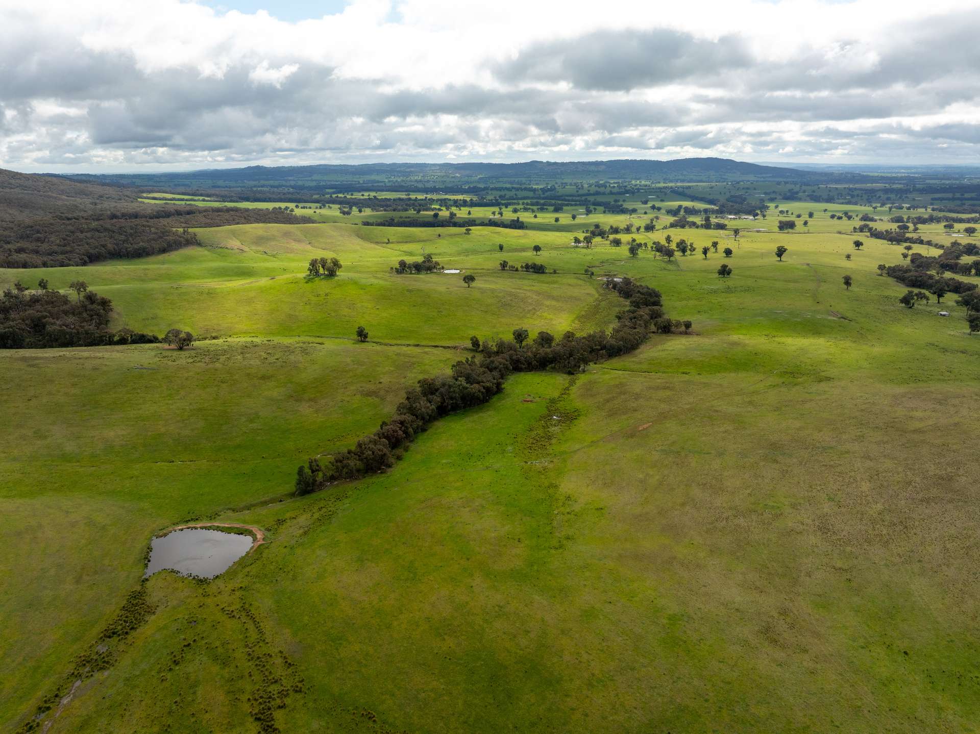 520 Woolshed Lane, Wagga Wagga Auction by Farmbuy.com - image 19