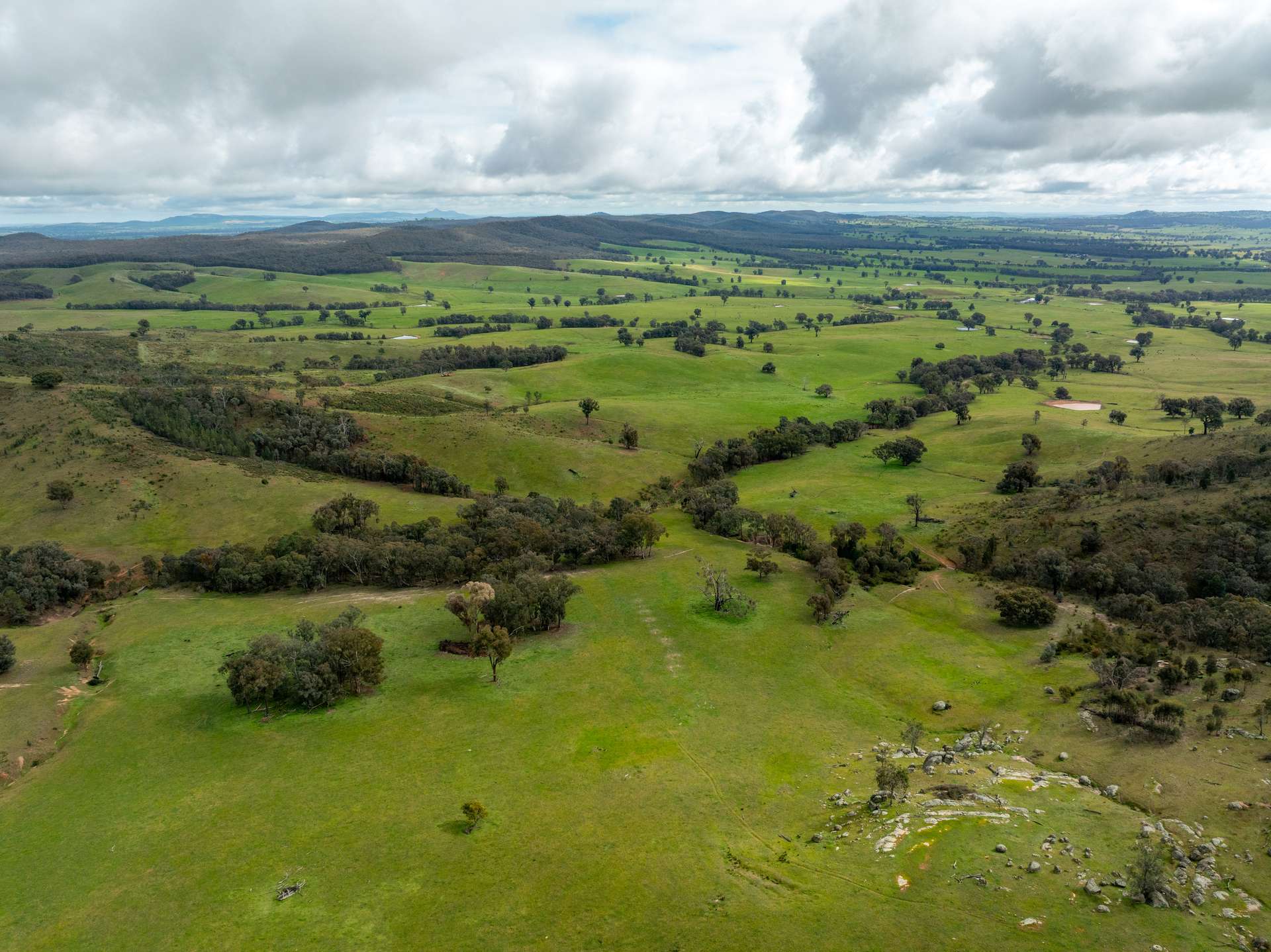 520 Woolshed Lane, Wagga Wagga Auction by Farmbuy.com - image 24