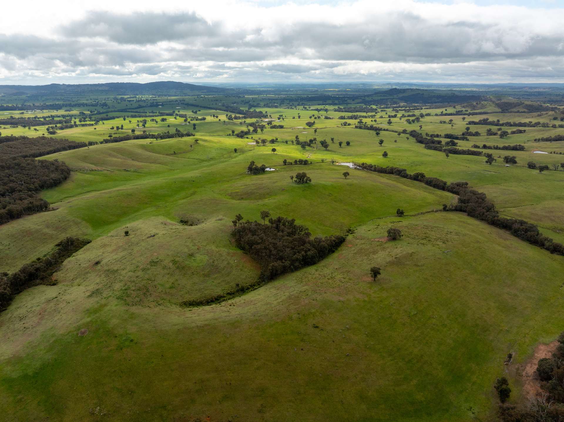 520 Woolshed Lane, Wagga Wagga Auction by Farmbuy.com - image 21