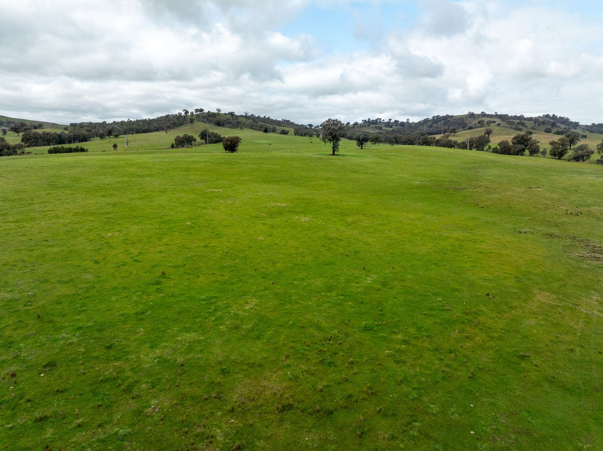 520 Woolshed Lane, Wagga Wagga Auction by Farmbuy.com - image 12