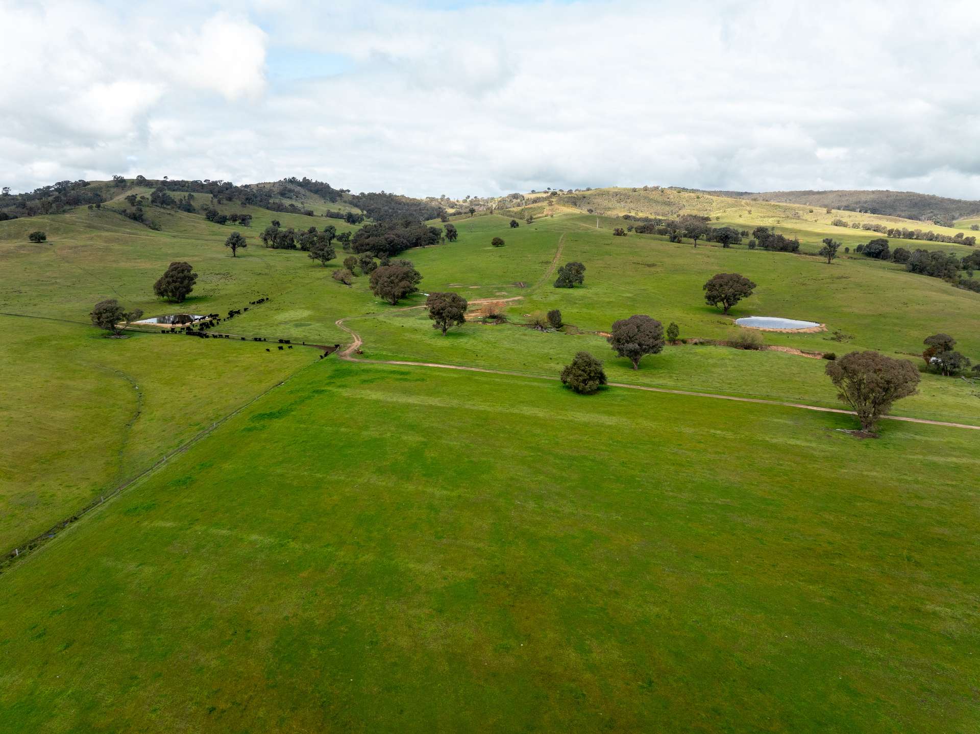 520 Woolshed Lane, Wagga Wagga Auction by Farmbuy.com - image 15