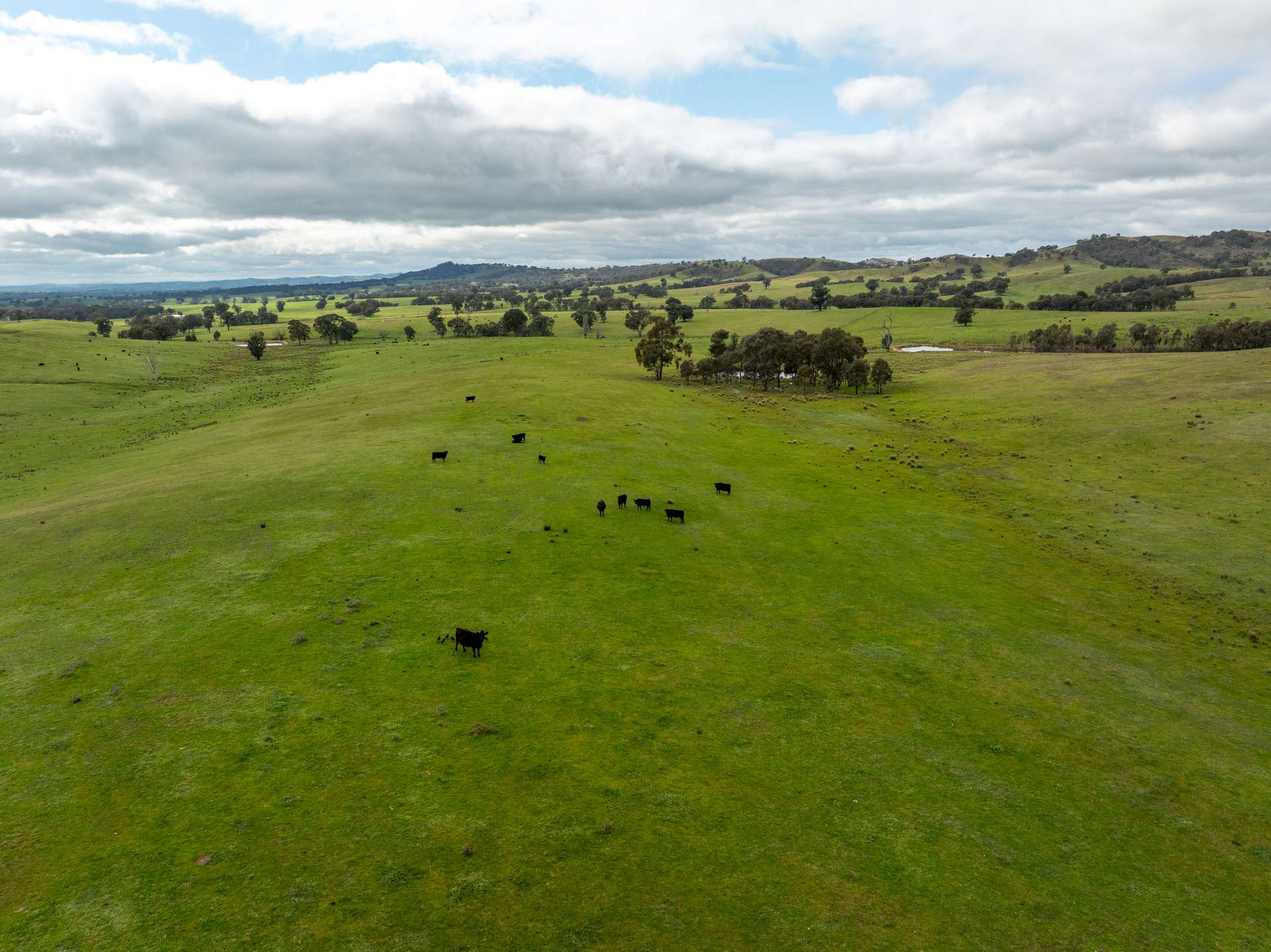 520 Woolshed Lane, Wagga Wagga Auction by Farmbuy.com - image 27