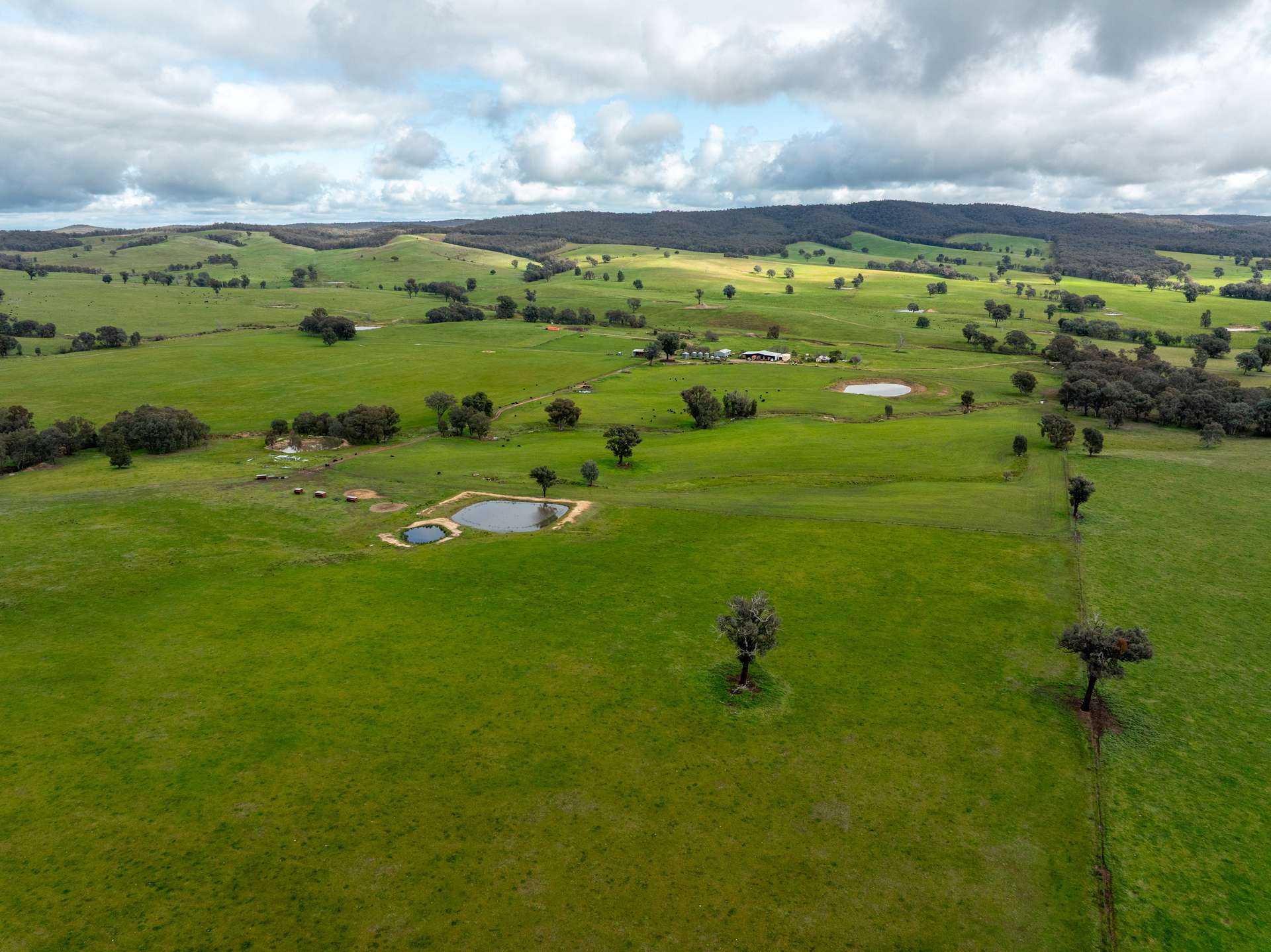 520 Woolshed Lane, Wagga Wagga Auction by Farmbuy.com - image 9