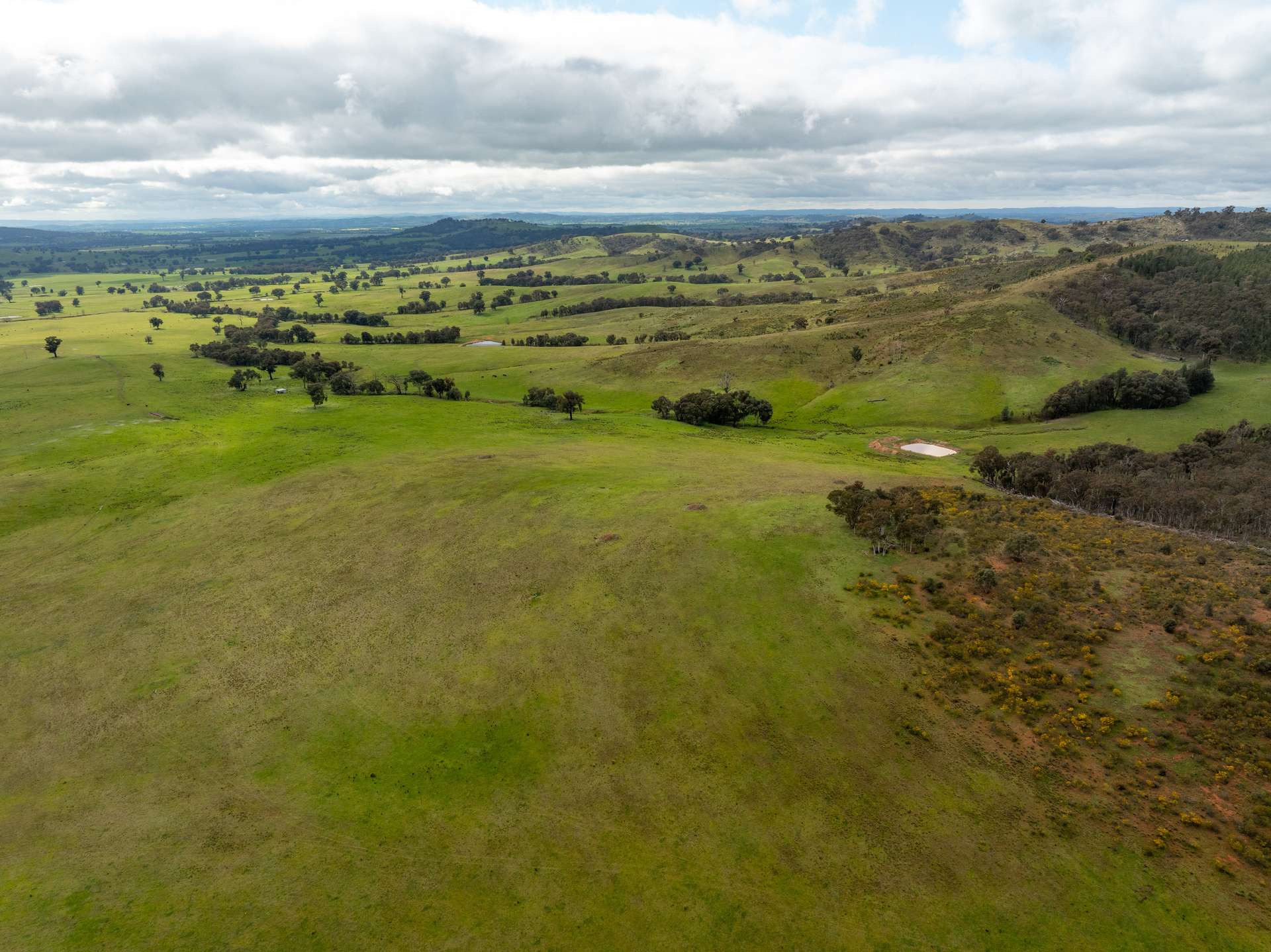 520 Woolshed Lane, Wagga Wagga Auction by Farmbuy.com - image 17