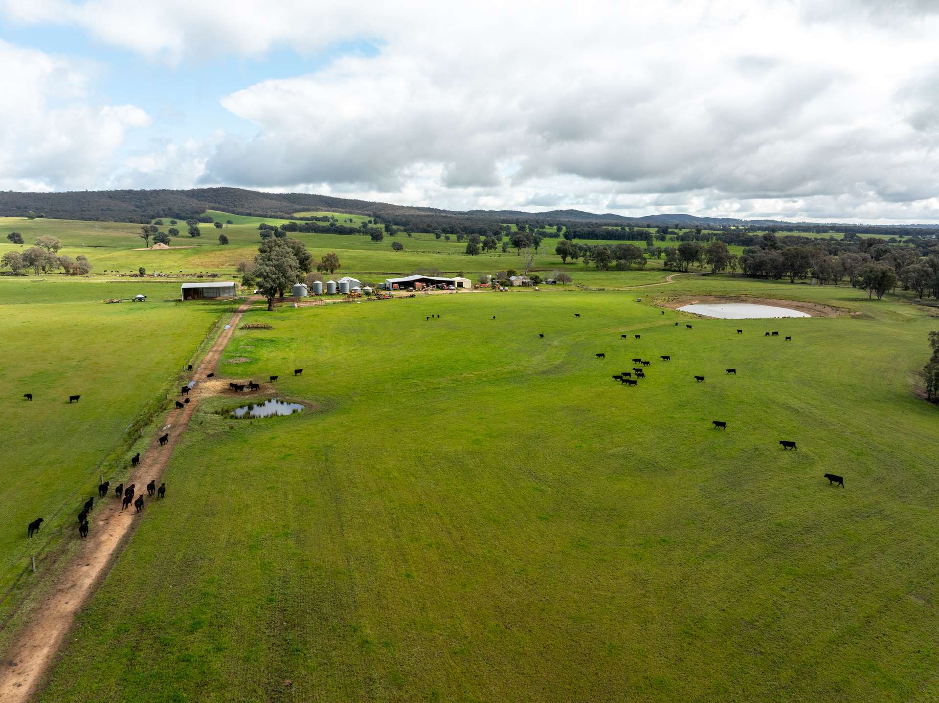 520 Woolshed Lane, Wagga Wagga Auction by Farmbuy.com - image 14