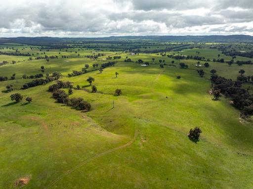 520 Woolshed Lane, Wagga Wagga NSW 2650