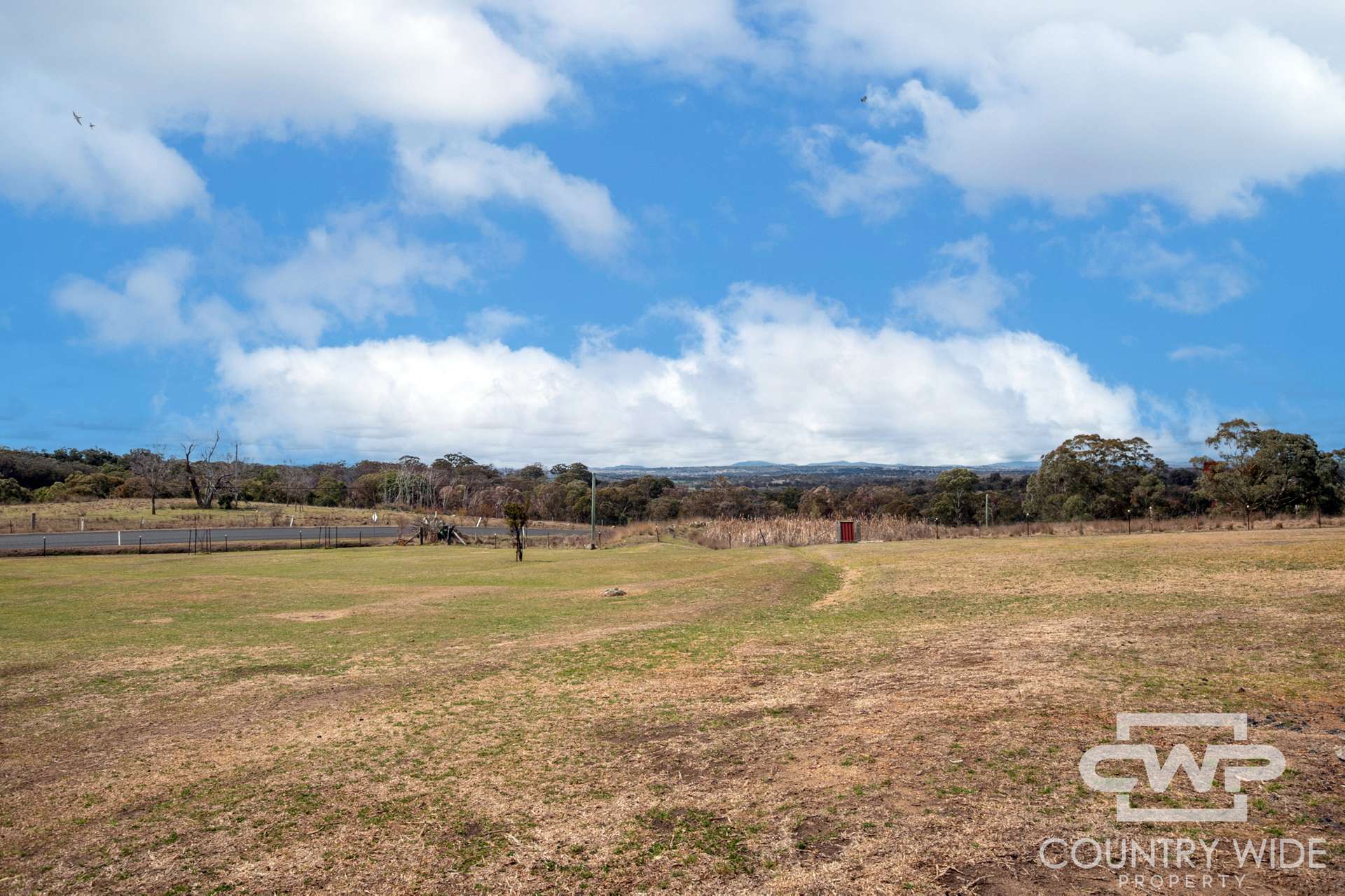 2125 Wellington Vale Road, Emmaville For Sale by Farmbuy.com - image 26